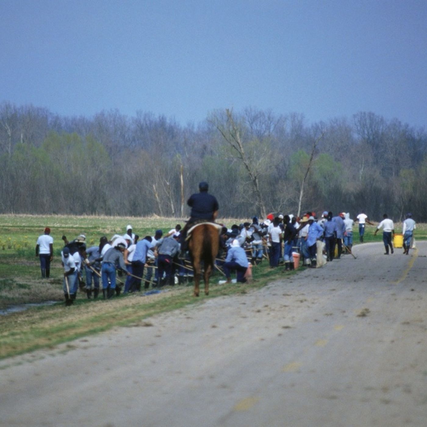 Inside the big business of prison farms and ‘agricarceral’ slave labor