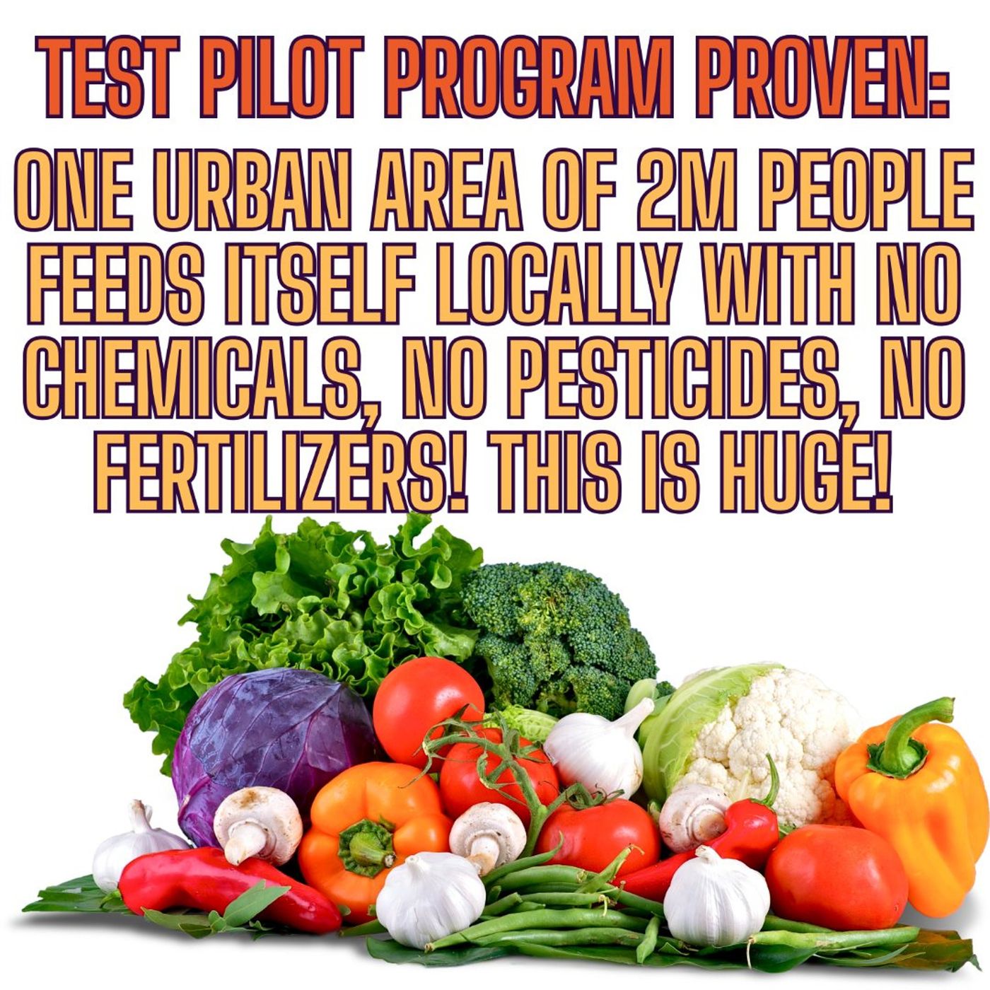 Feeding One City Of 2M People With No Chemicals, No Pesticides and ALL ORGANIC! episode artwork