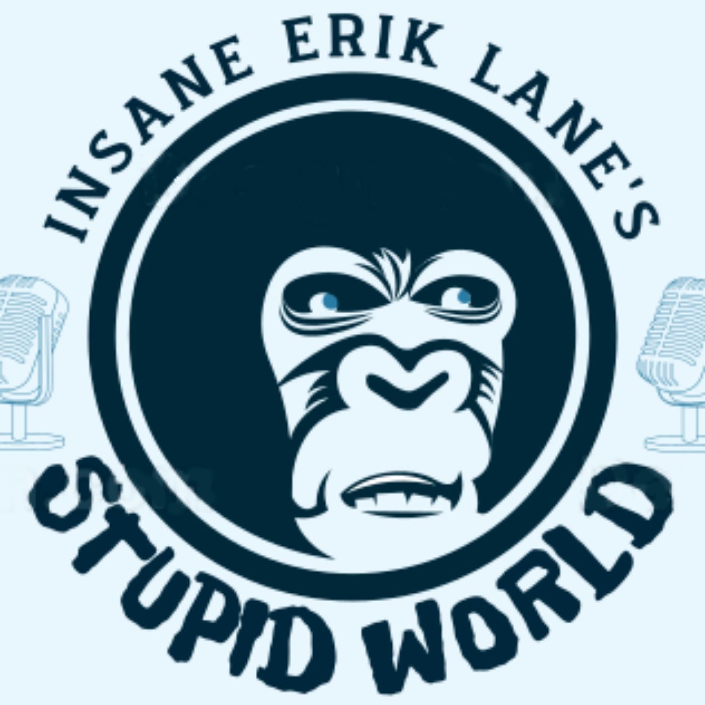 Insane Erik Lane\'s Stupid World