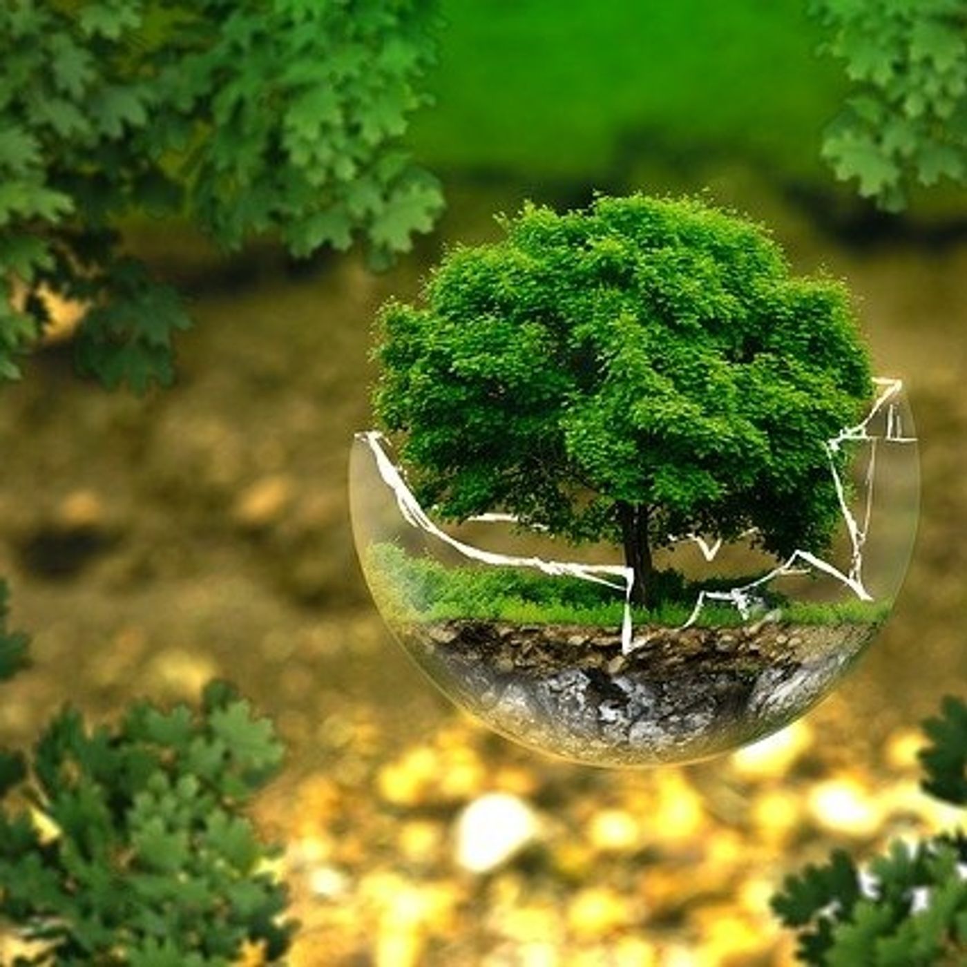 Medio Ambiente en 10 minutos podcast artwork