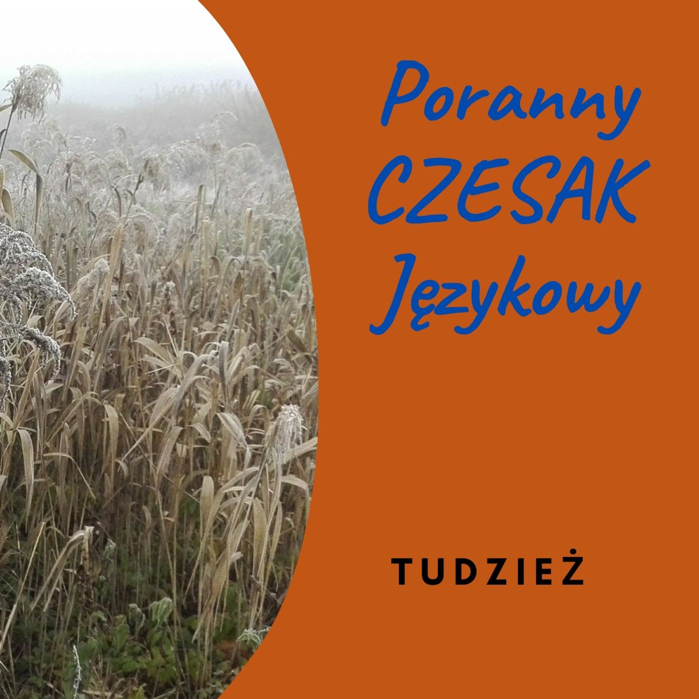 Poranny Czesak Językowy