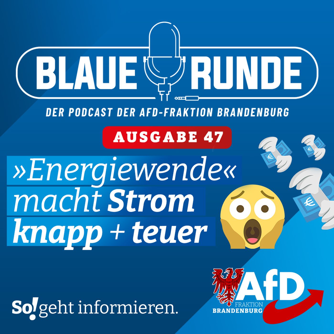 Die Blaue Runde - der Podcast der AfD-Fraktion Brandenburg