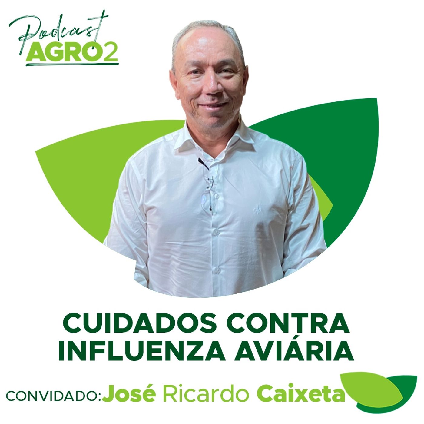 Os cuidados com as granjas comerciais de aves para proteger plantel contra gripe aviária #193 episode artwork