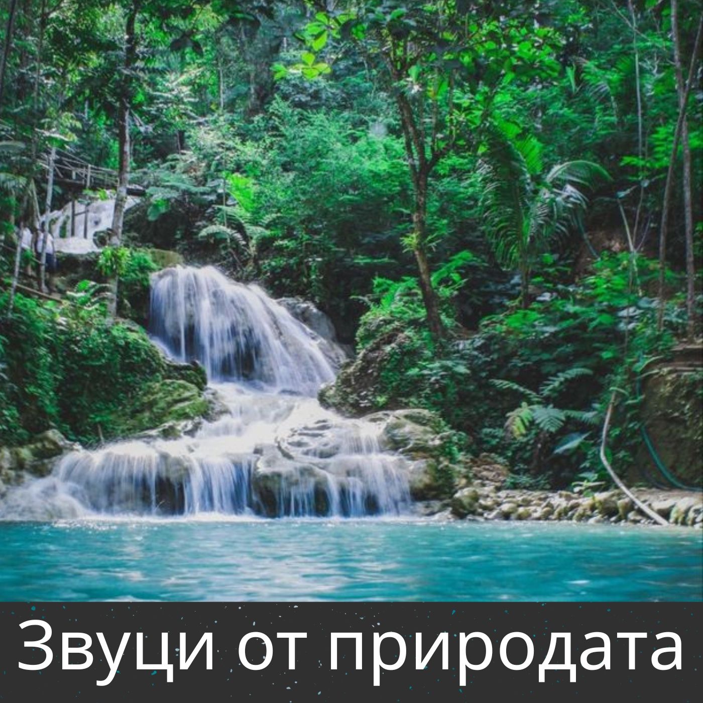 Звуци от природата