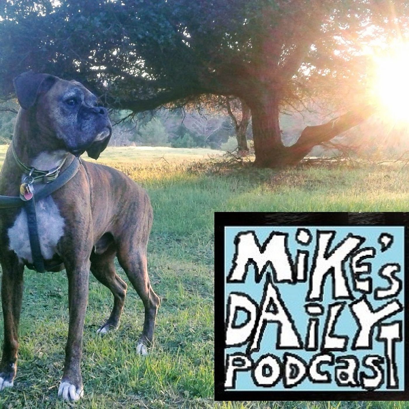 Mike\'s Daily Podcast