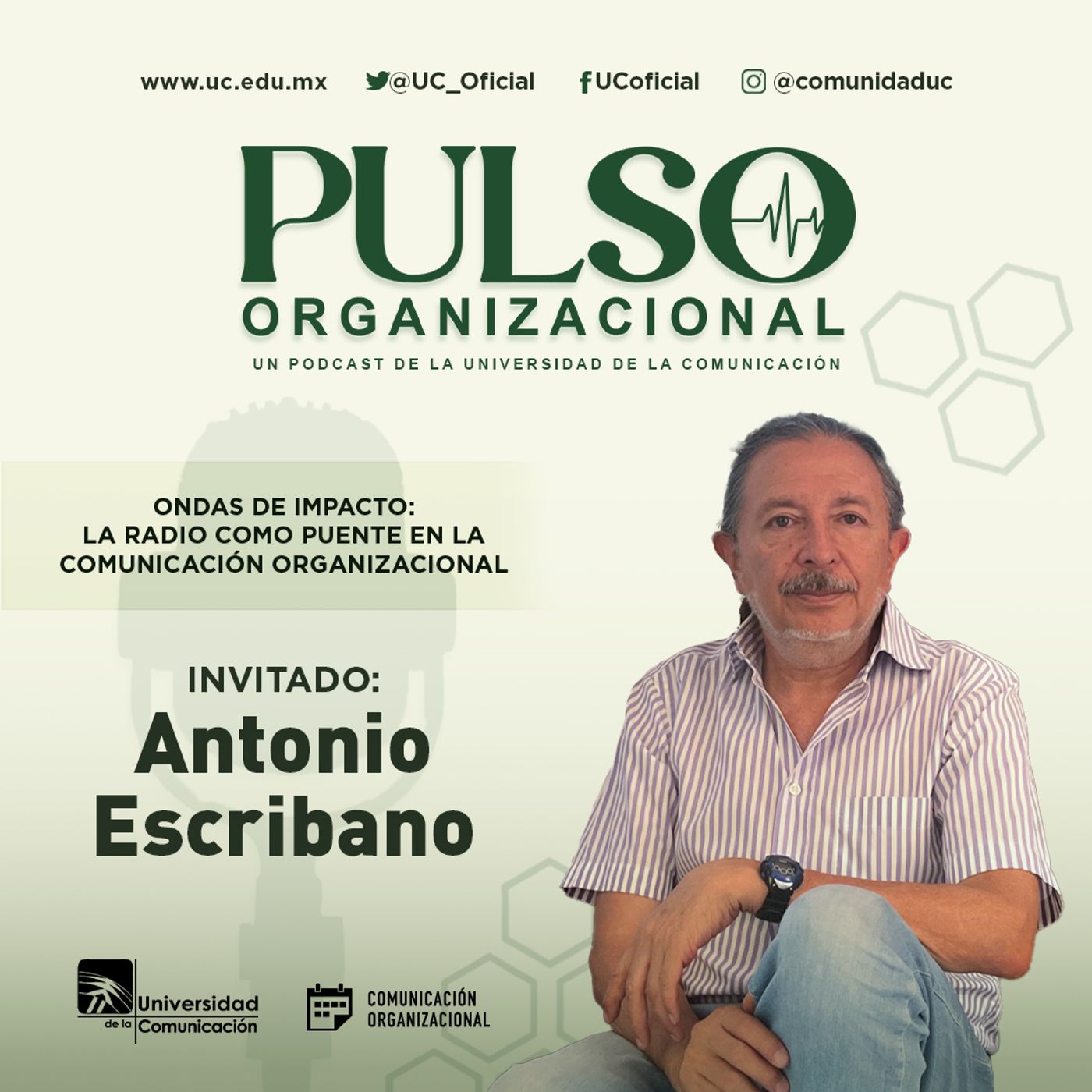 Pulso Organizacional