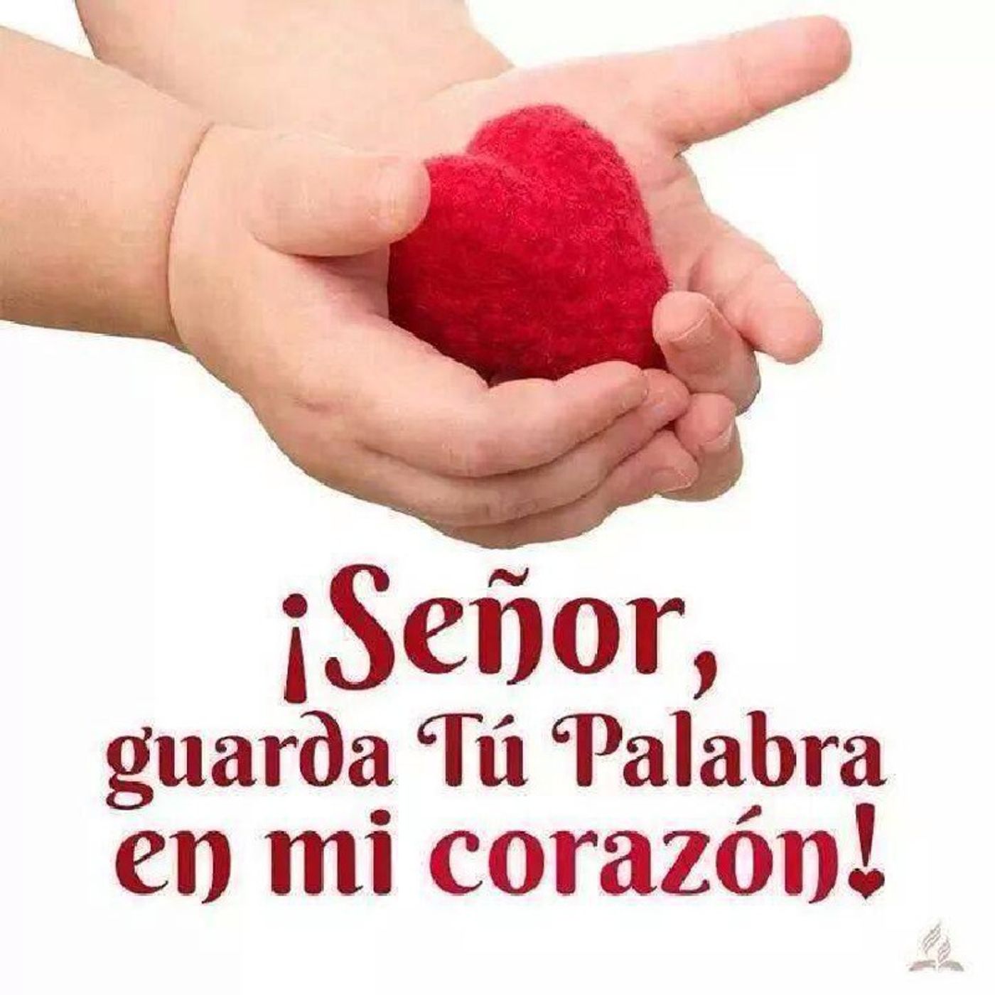 La Reflexión del Día "Señor tu Palabra me orienta, me levanta y me centra" episode artwork
