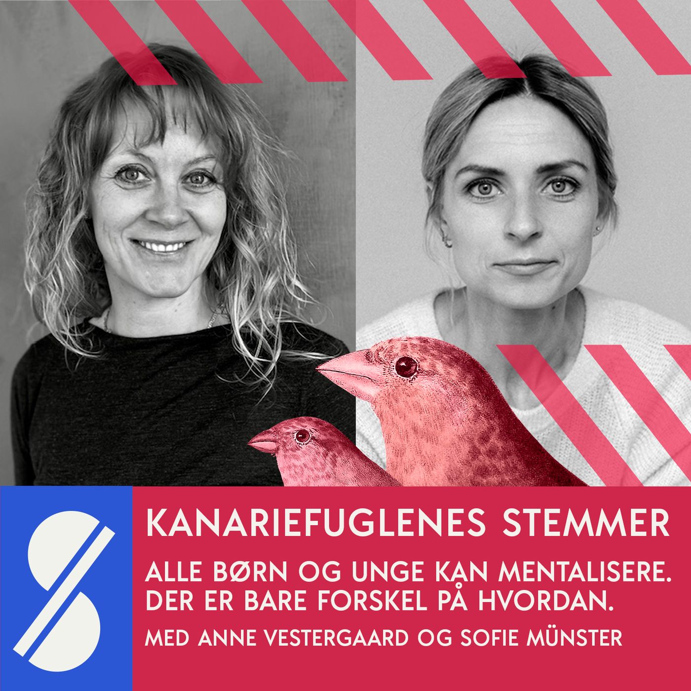 Kanariefuglenes stemmer
