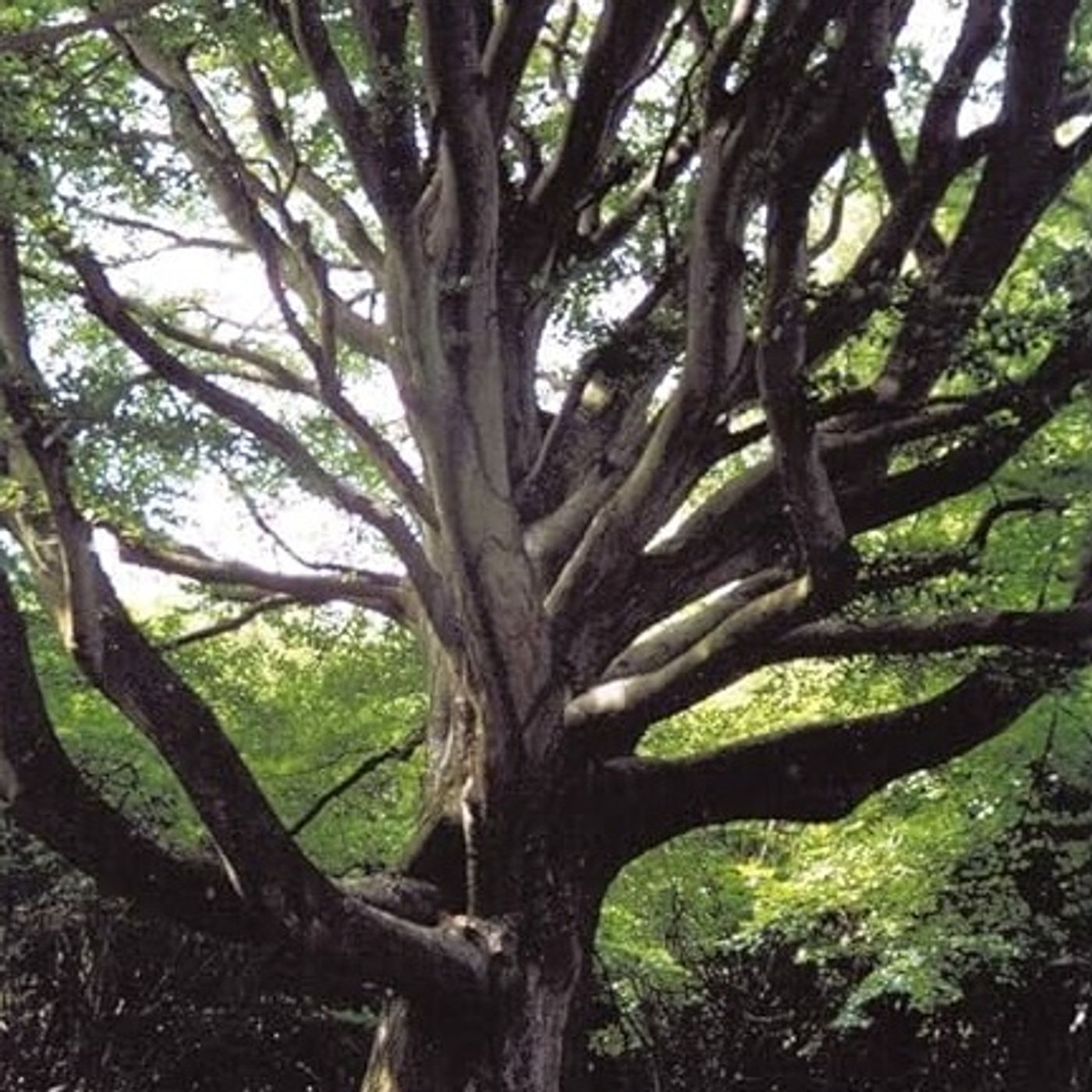 Rob McConnell Interviews - PETER McCUEE - Zones of Strangeness- An Examination of Paranormal and UFO Hot Spots