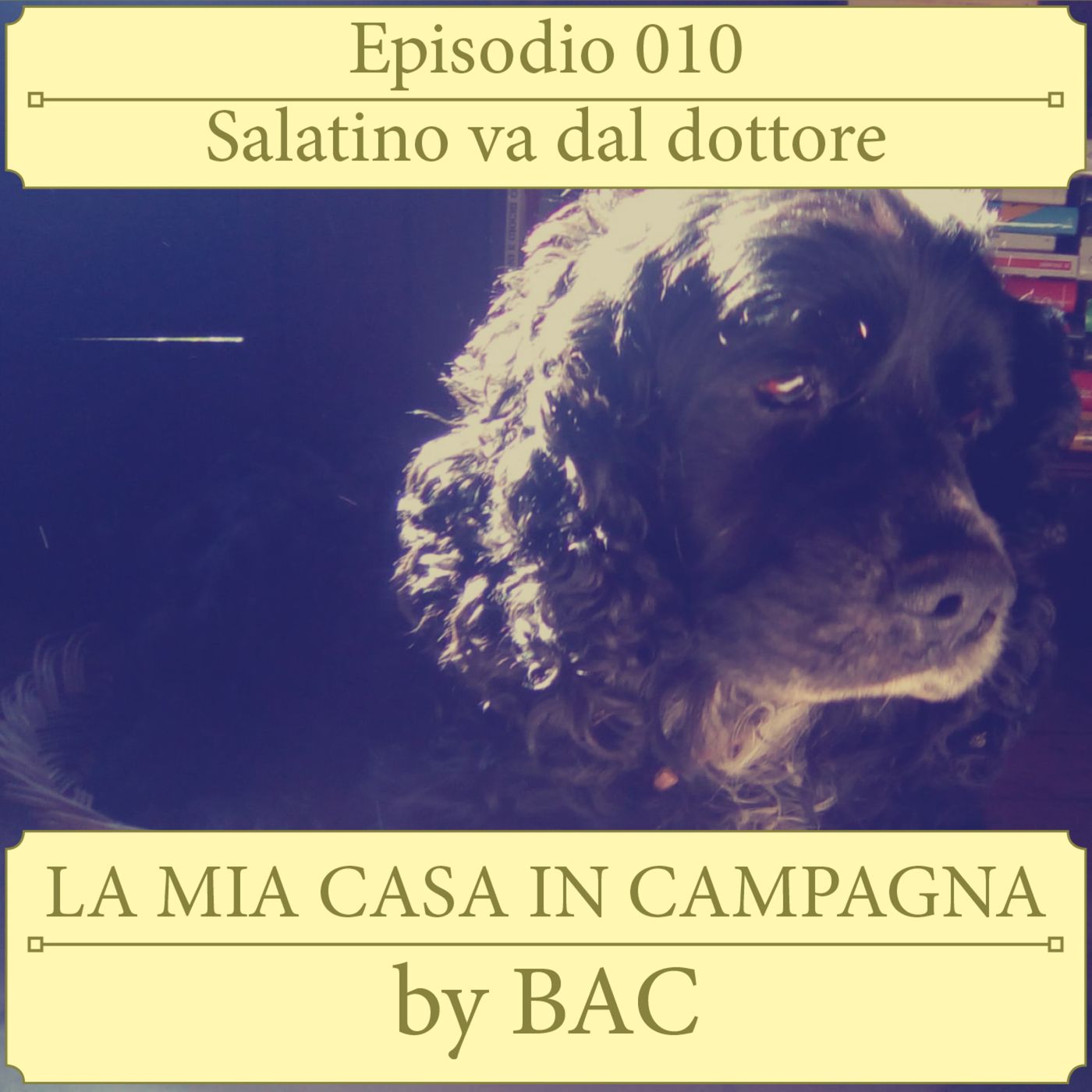 La Mia Casa In Campagna