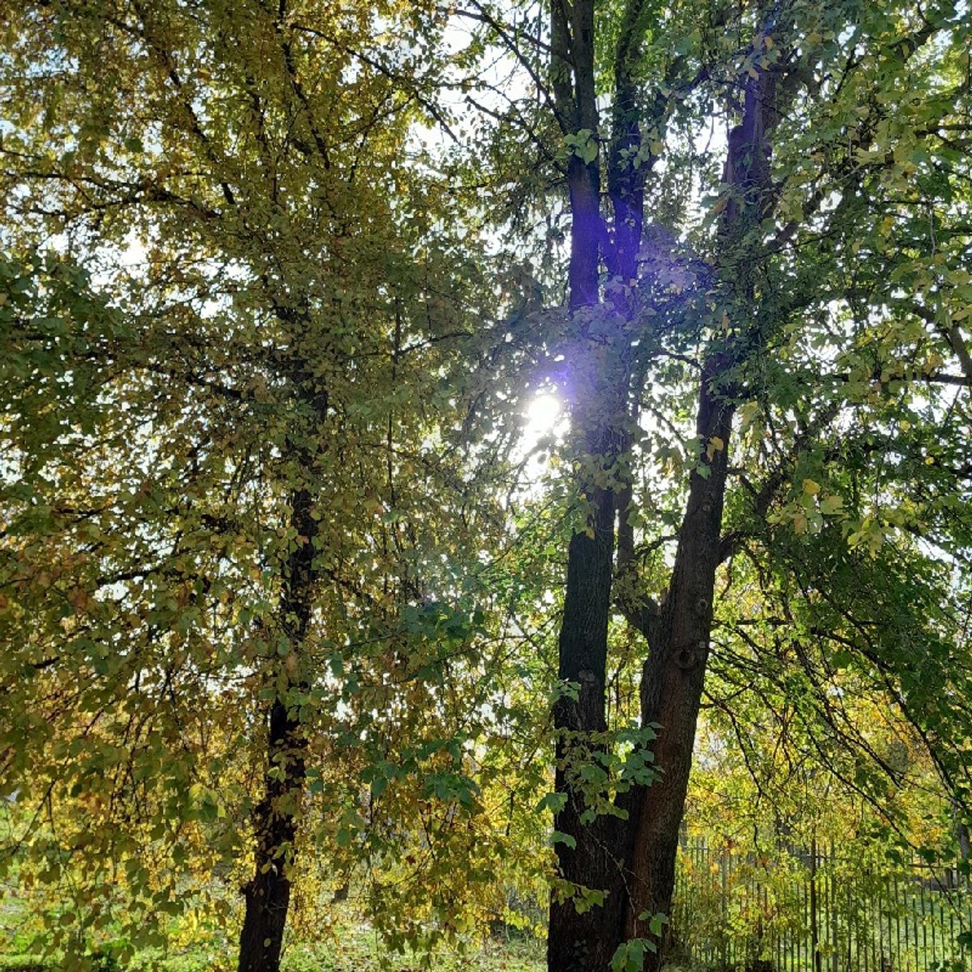 Meditazioni guidate