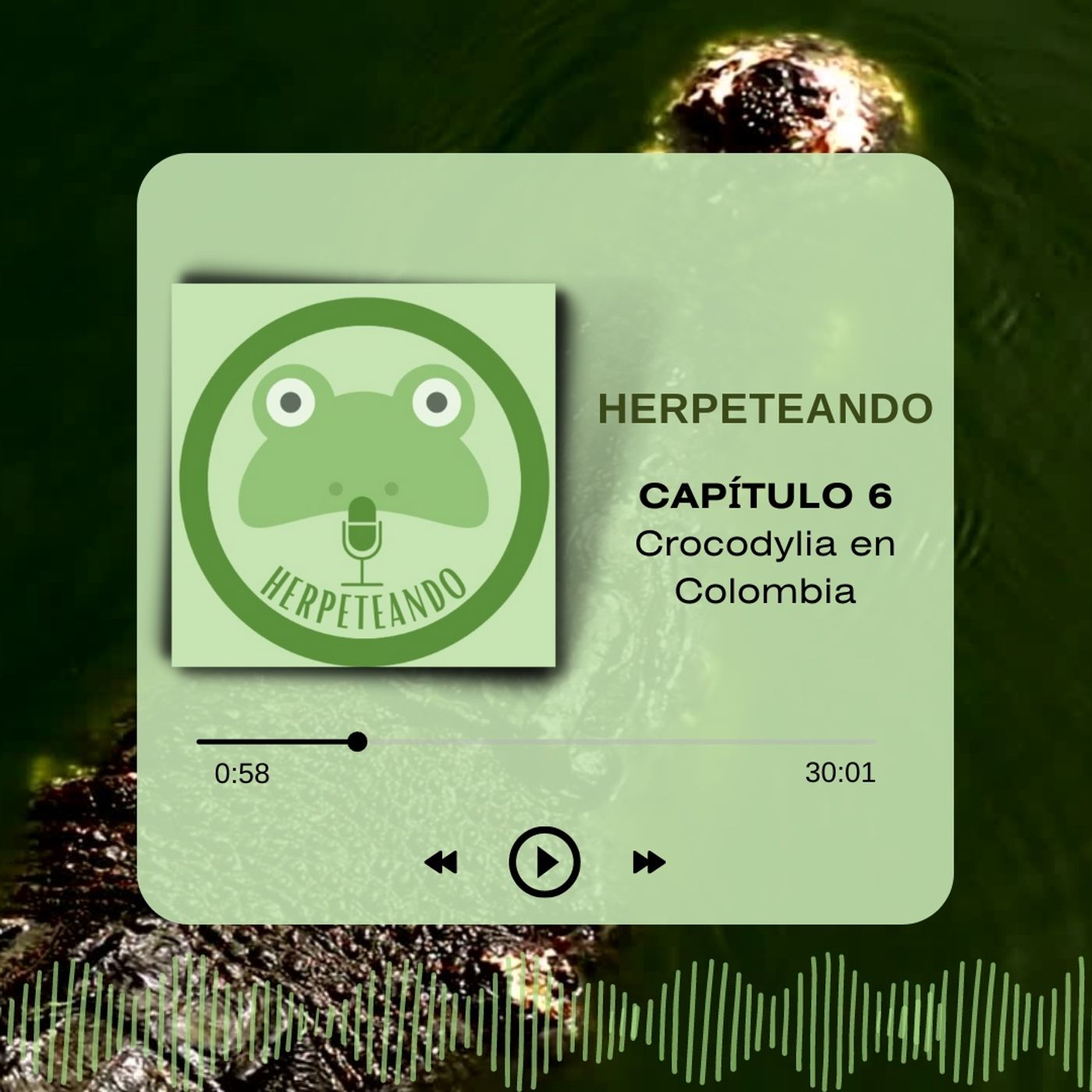 Capitulo 6 Cocodrilos y Caimanes