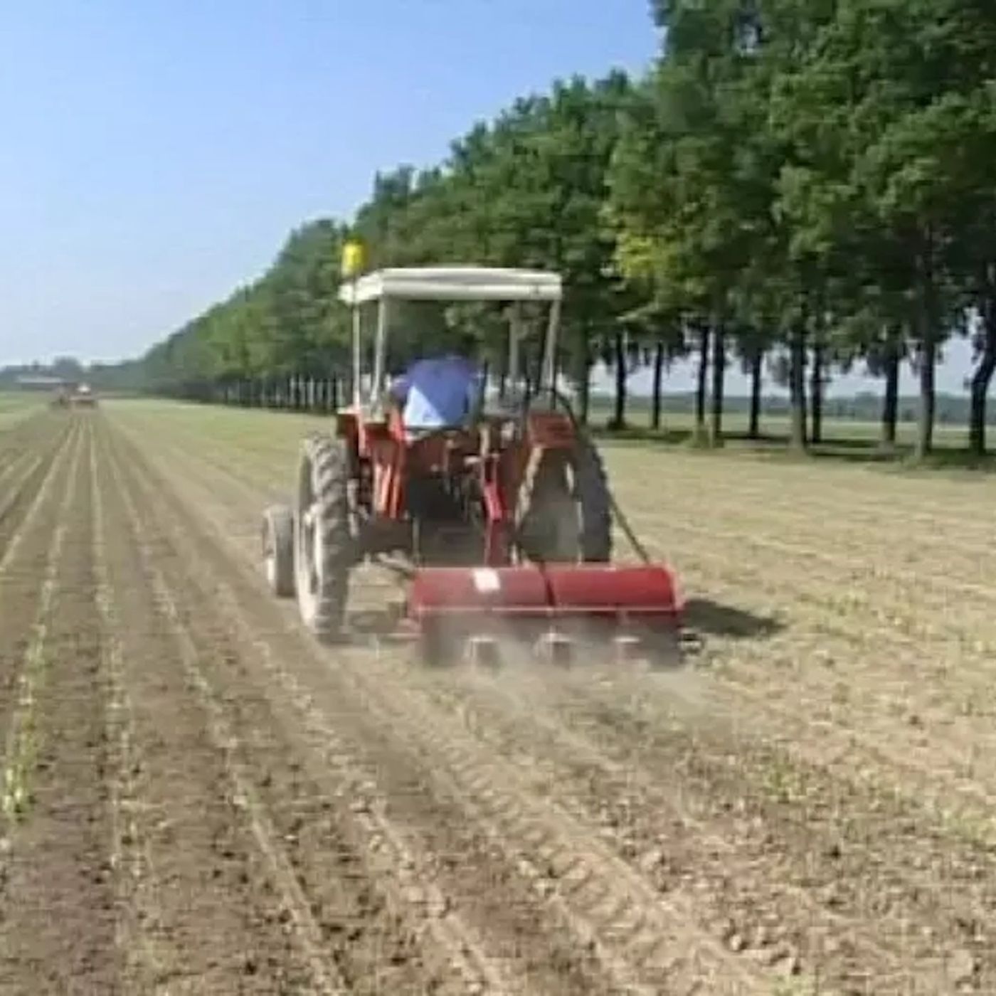 Mimmo Moramarco Ilmimmo