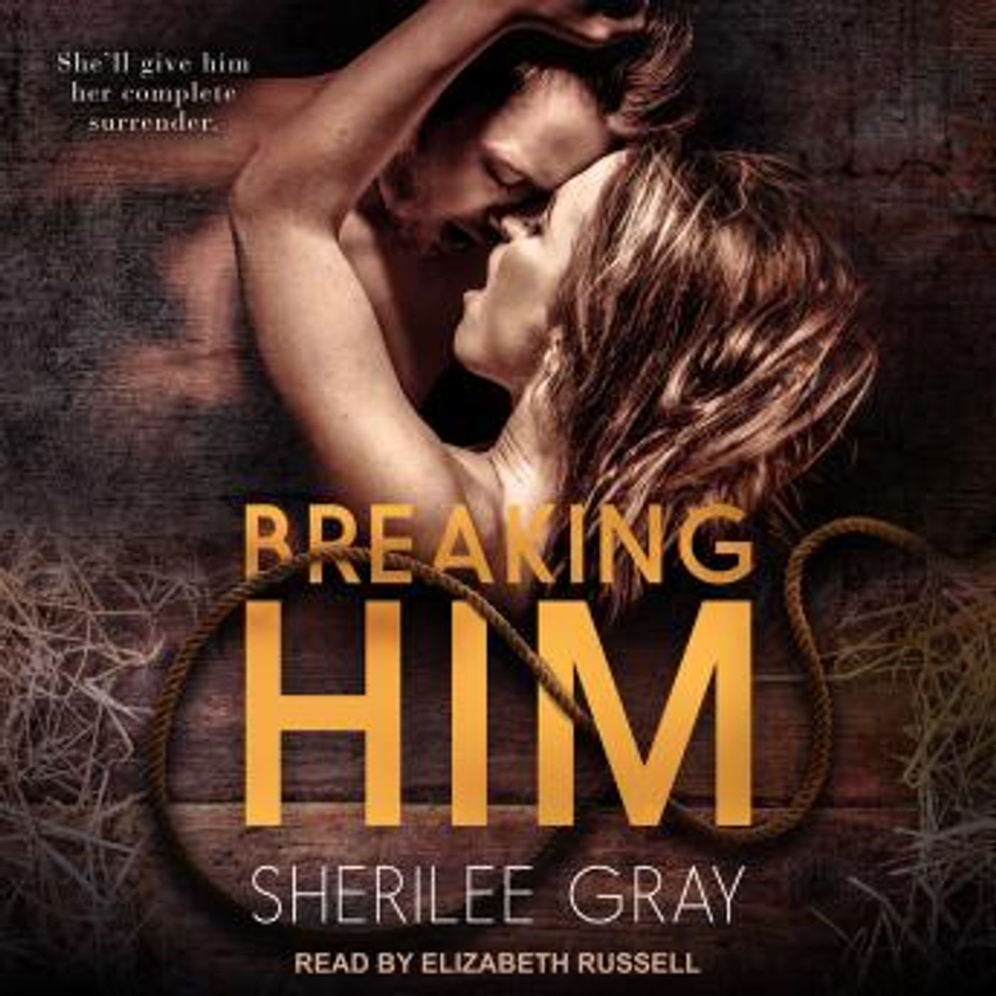 Enjoy Amazing Full Audiobooks in Romance, Modern