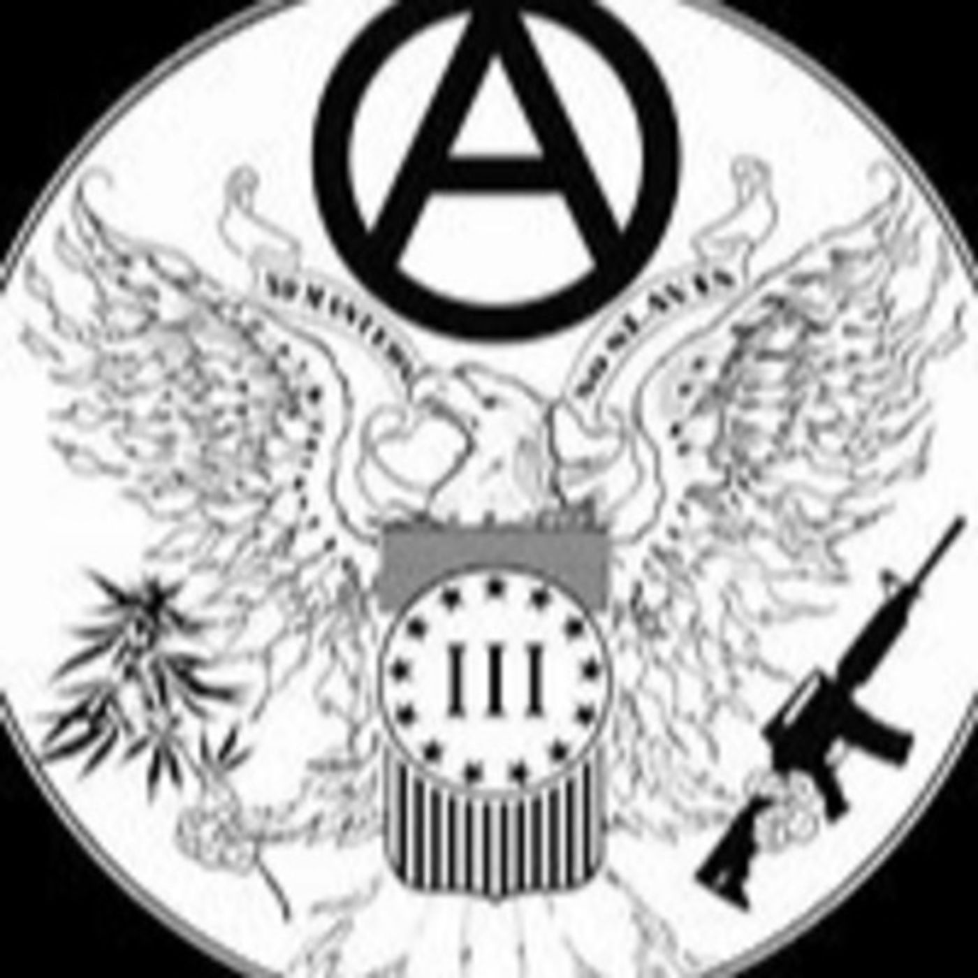 TV and Radio, the MKUltra Agenda W/ Sean McCann