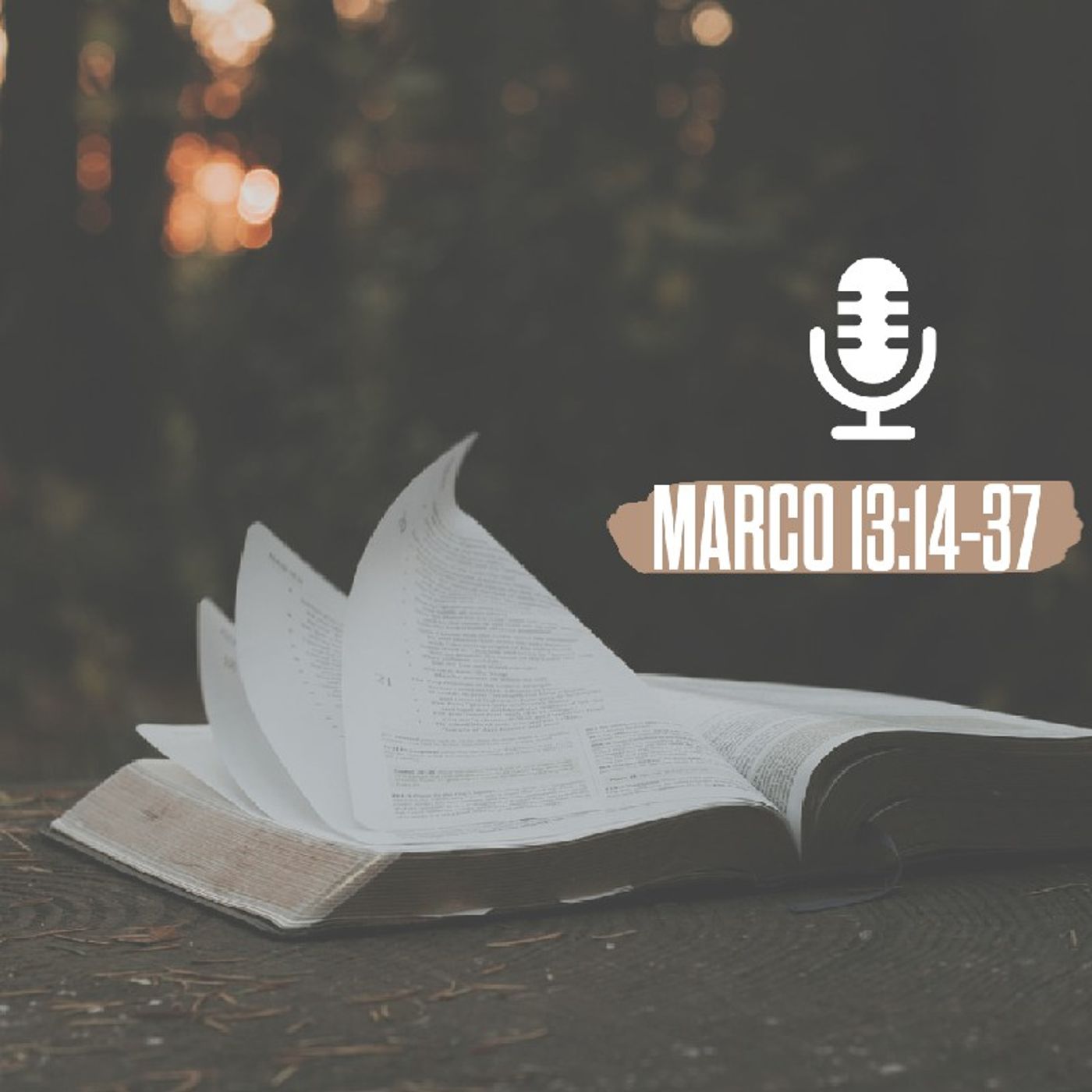 Il podcast di TransformWorkItaly