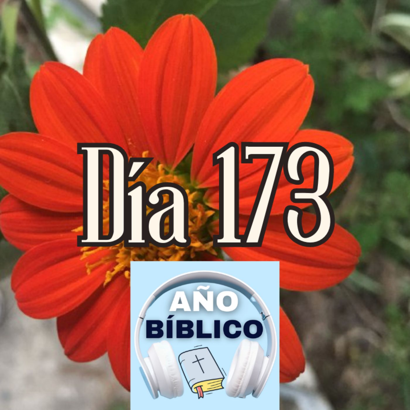 Día 173 - Salmos 74:12-17, 1 Crónicas 1; 1 Crónicas 2:1-41 y Romanos 1:18-32 episode artwork
