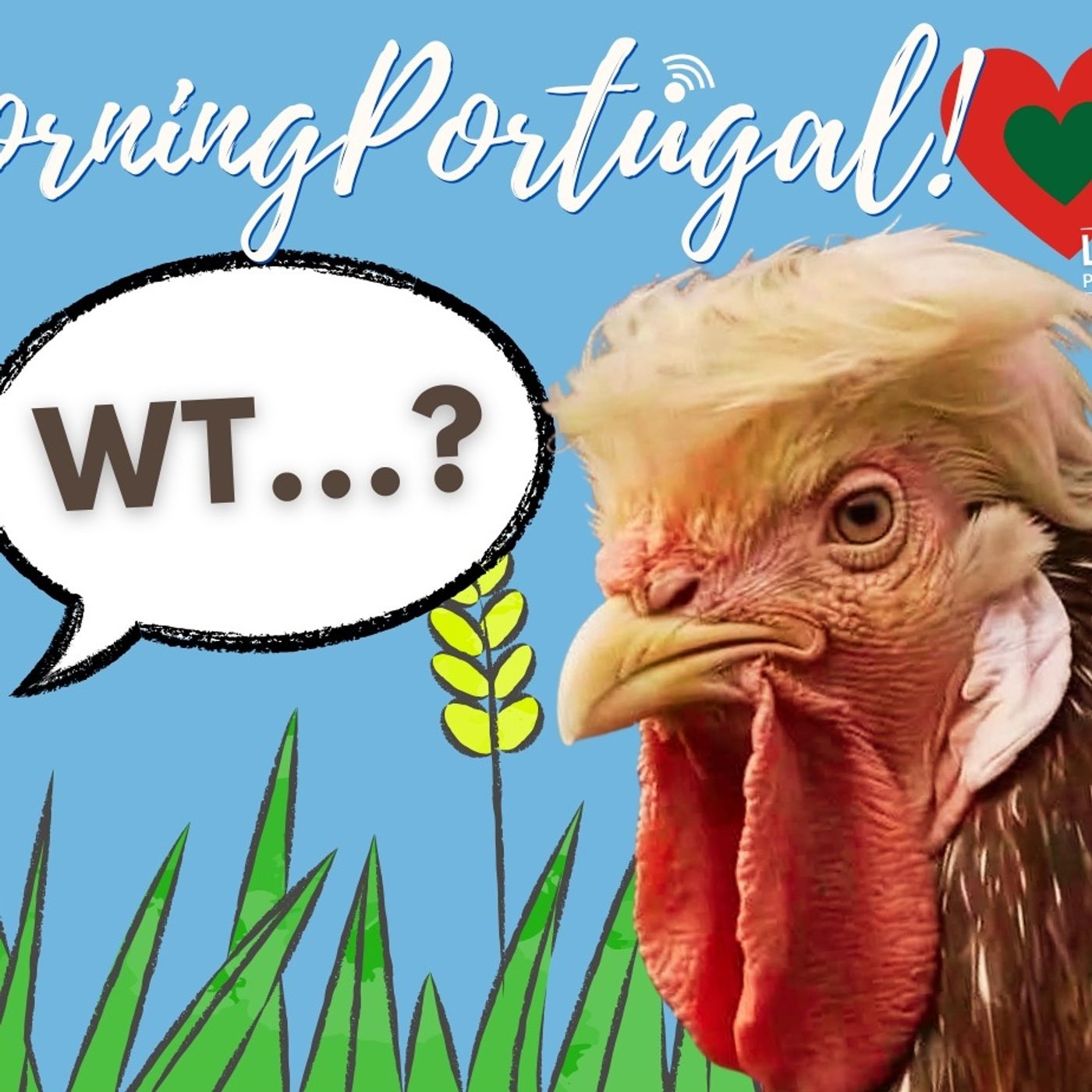 Barcelos Cockerel Shocker! (And Buddha Eden Highlights) #portugal #bomdia #trump #barcelos