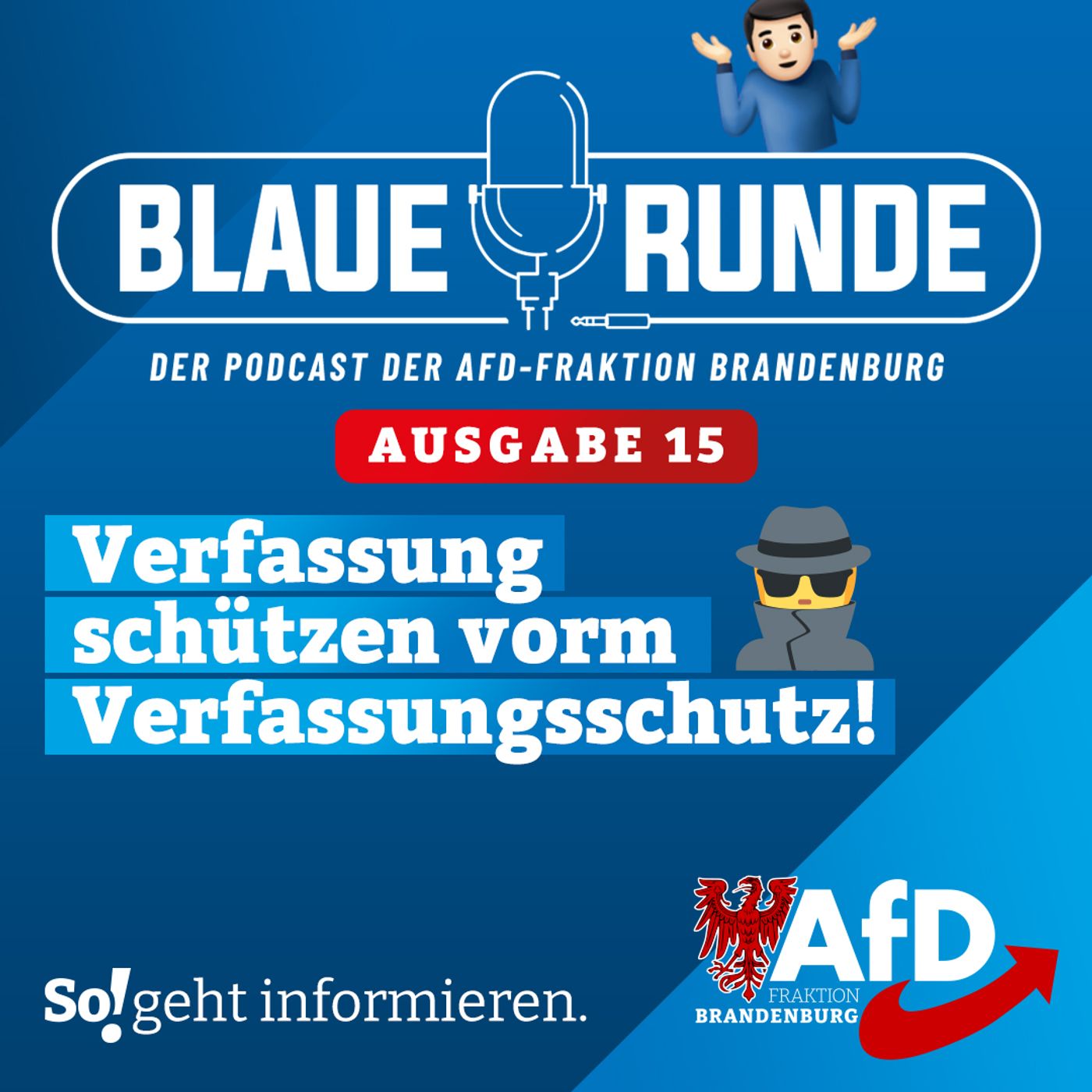 Verfassung schützen vorm Verfassungsschutz! | Die Blaue Runde, Ausgabe 15/24 vom 03.03.2024 episode artwork