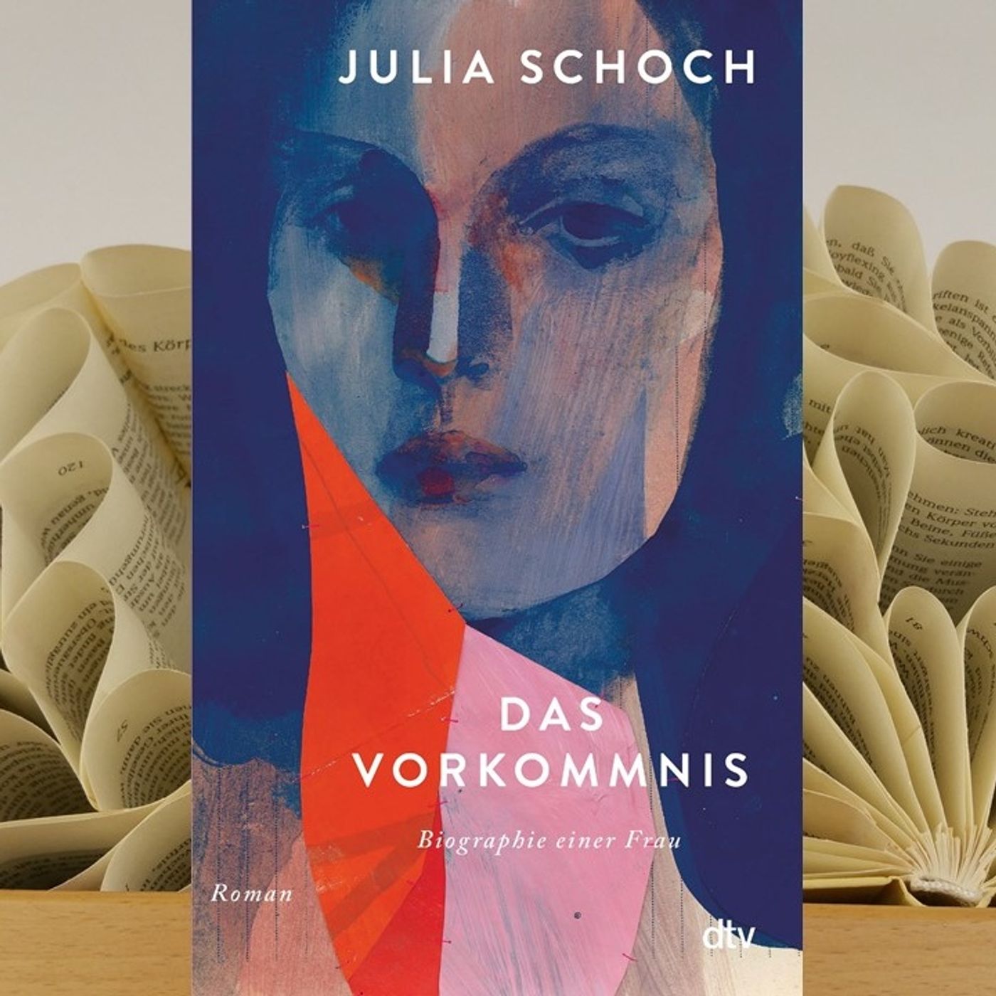 23.13. Julia Schoch - Das Vorkommnis (Renate Zimmermann) episode artwork