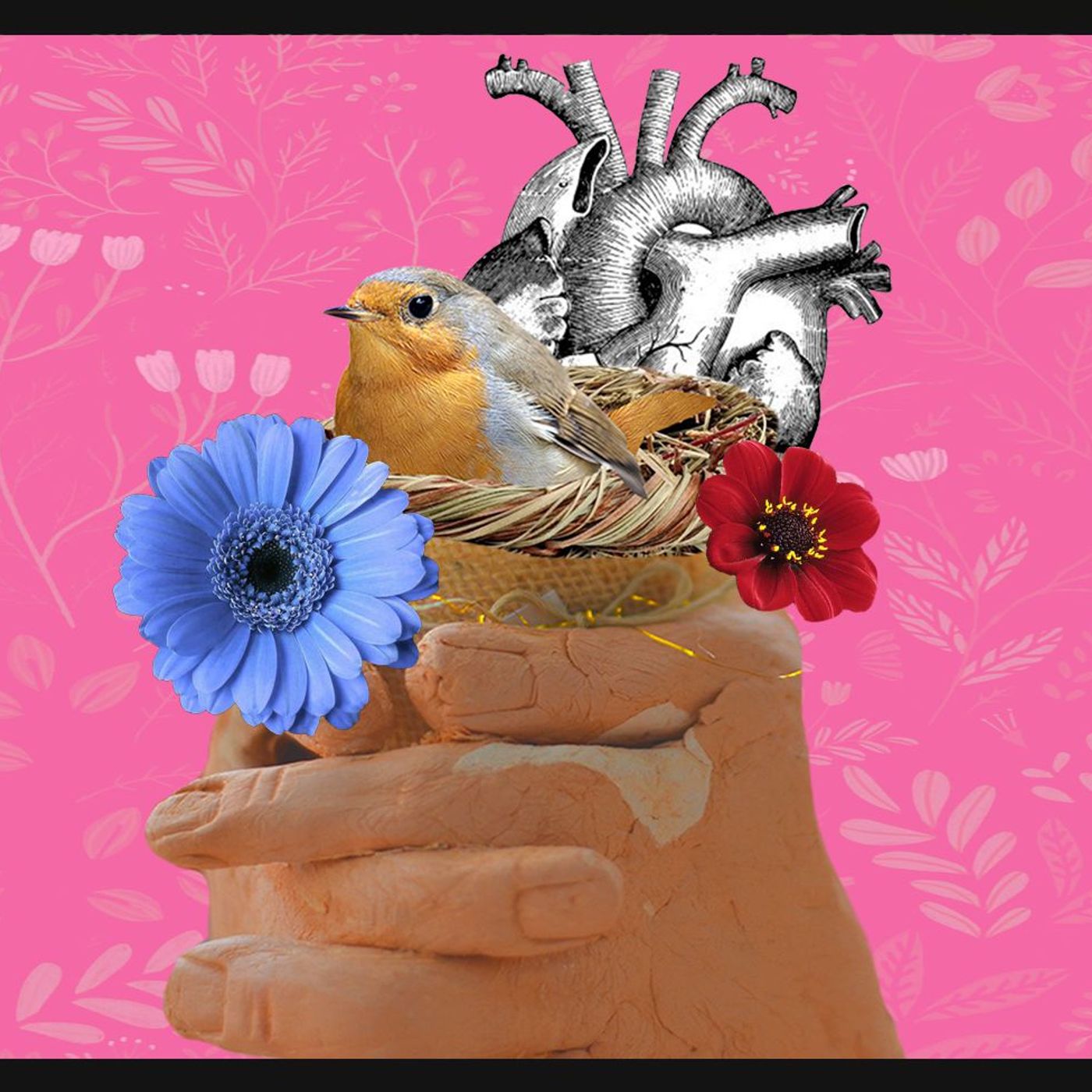 Cúcuta Casas de la Verdad con Sentido