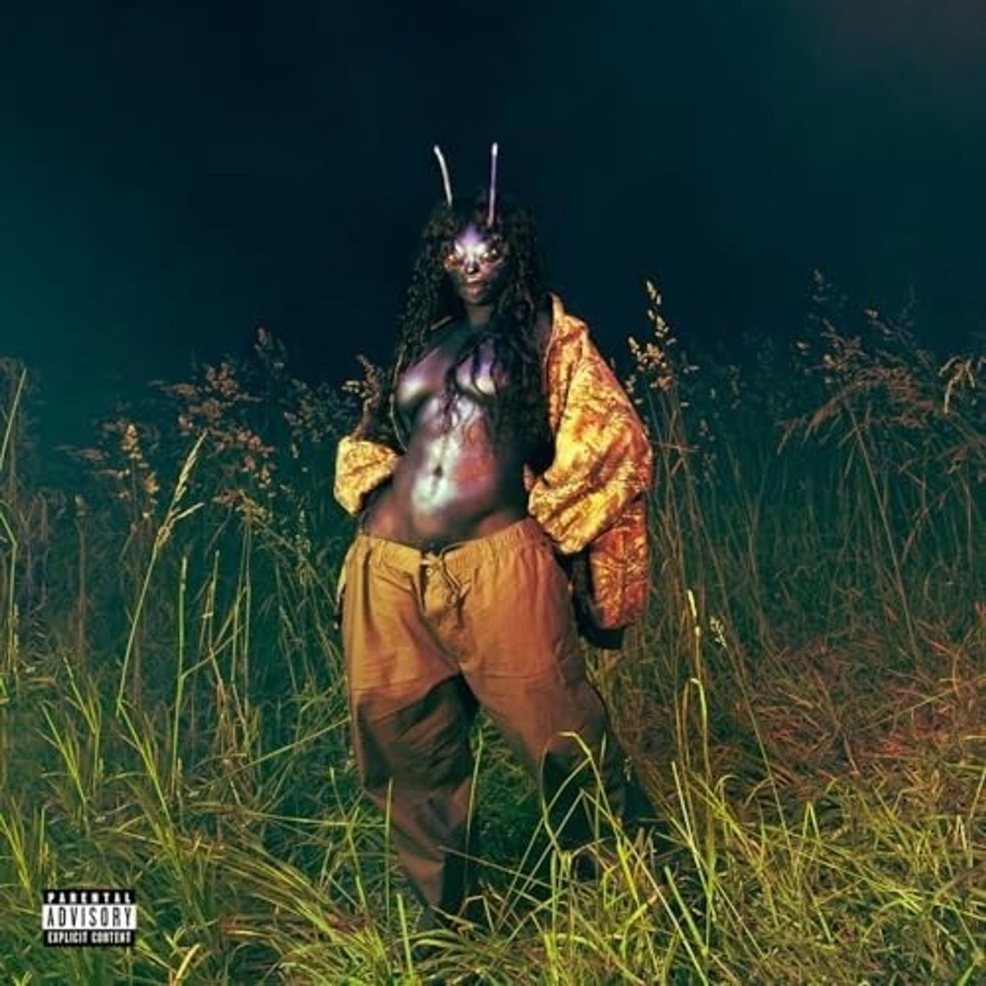 TAKE YOU DOWN - SZA episode artwork