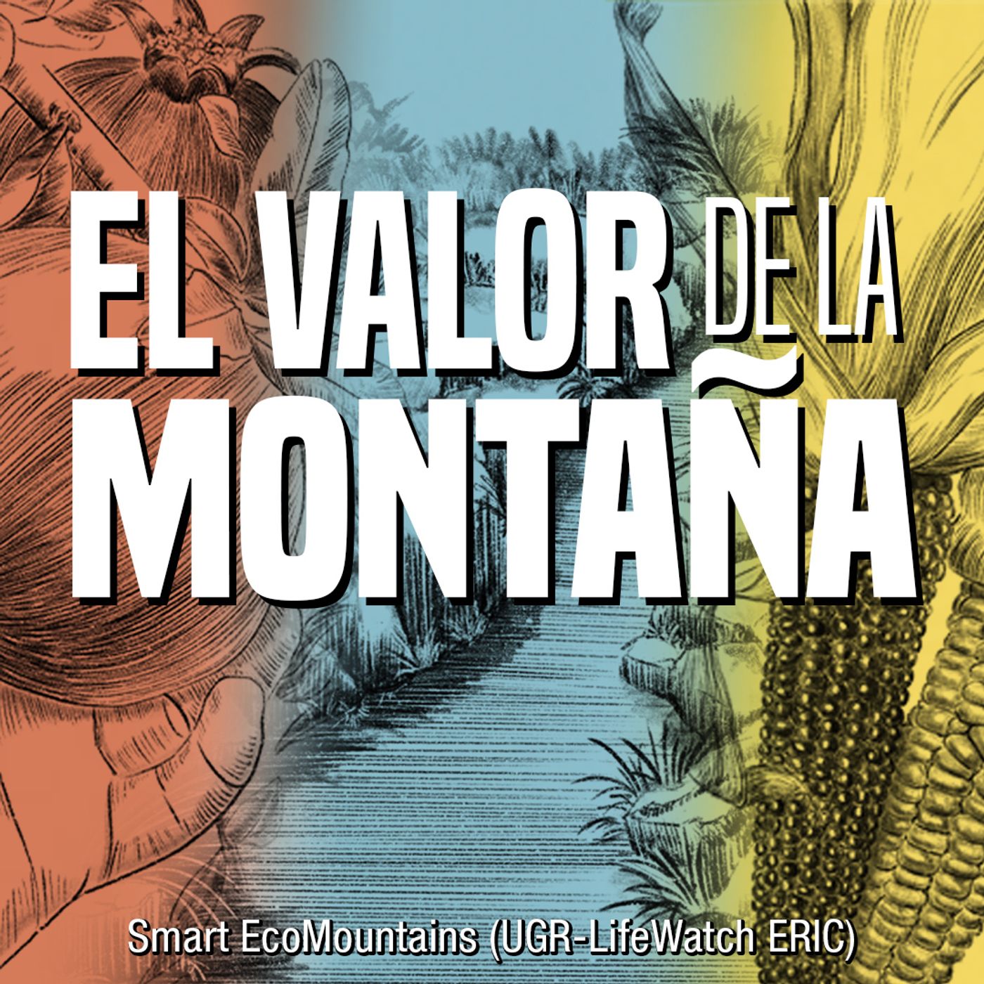 El valor de la montaña podcast artwork
