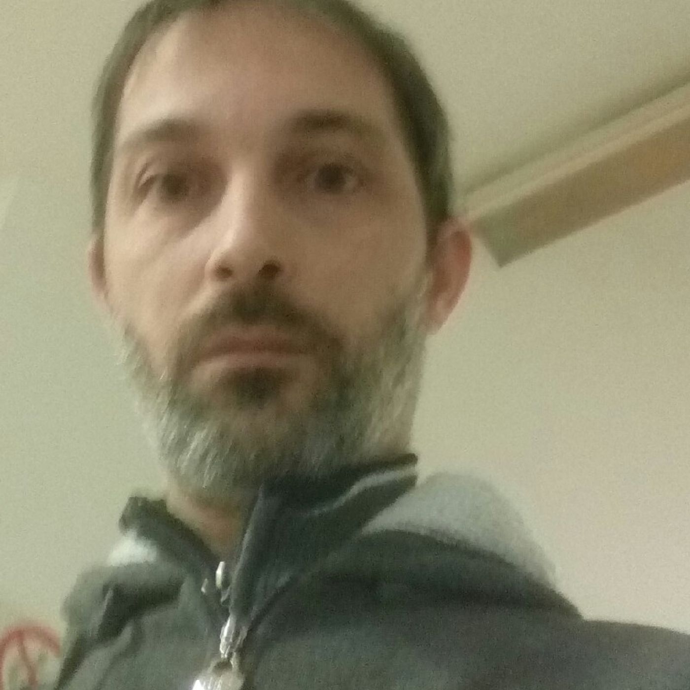 Lo show di stefano ippolito