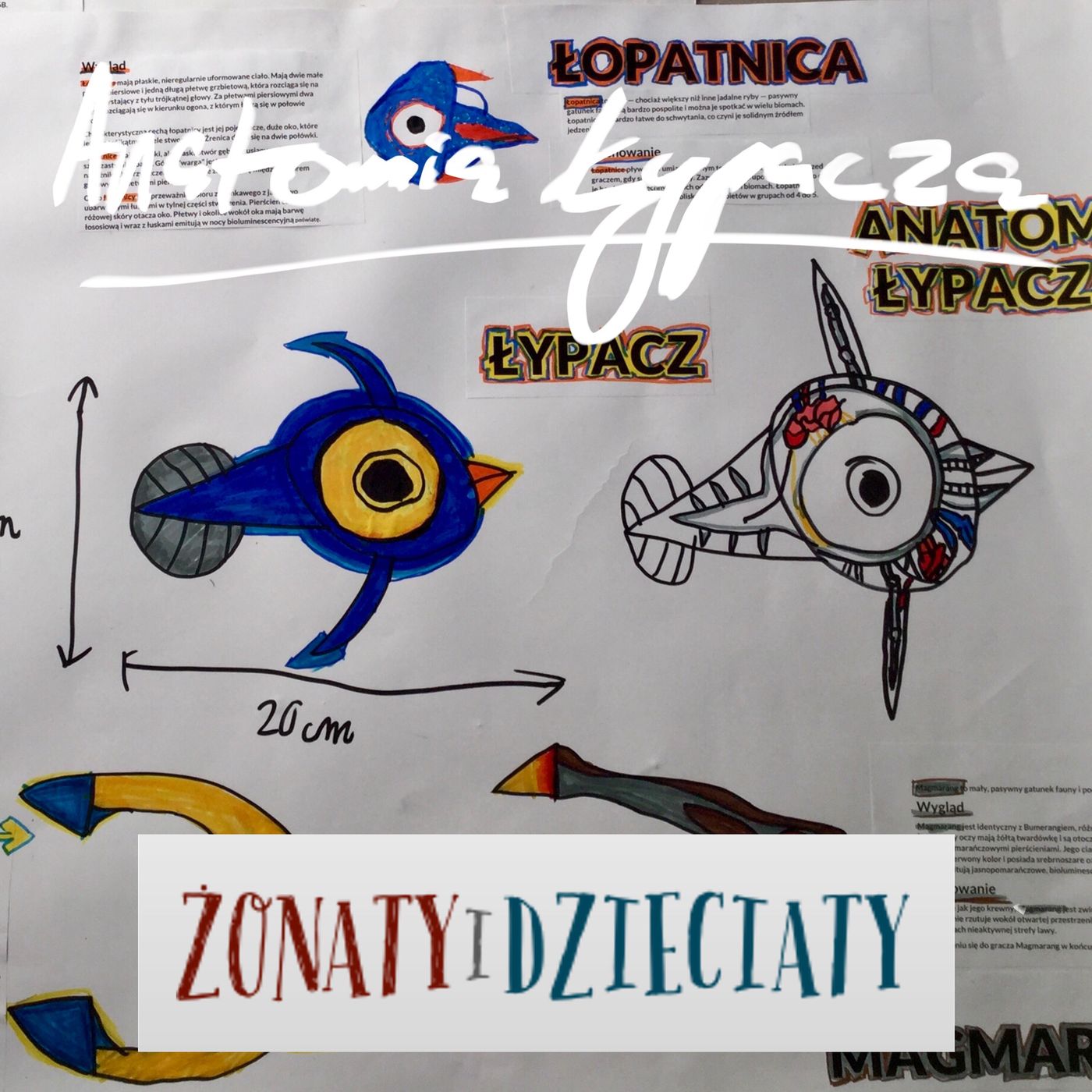  Anatomia Łypacza