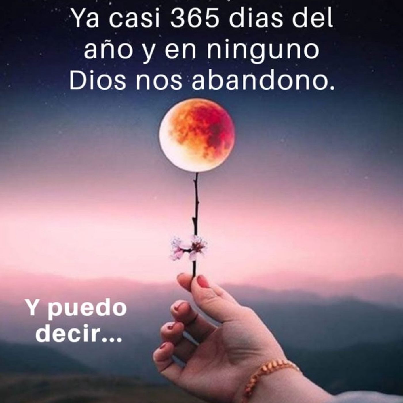 Su delicia