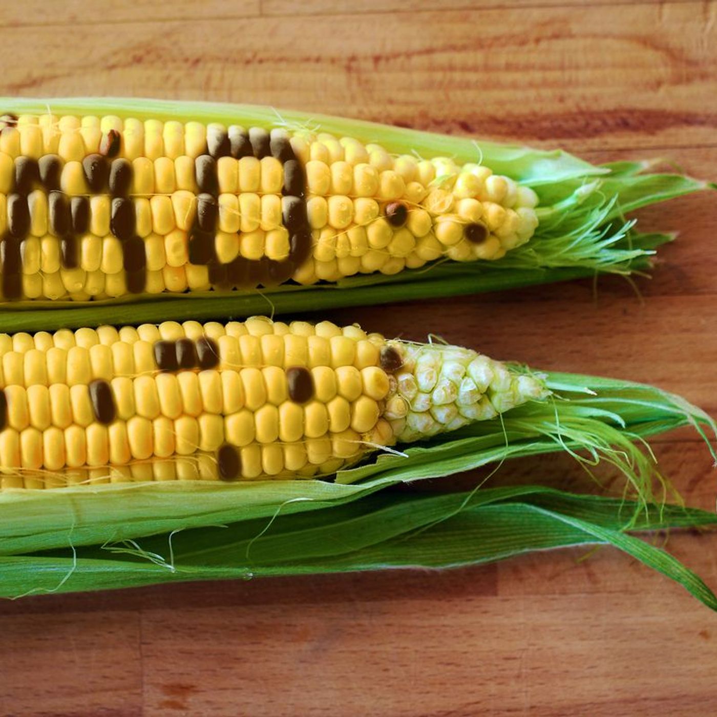 PAN AFRICAN BLISS-KENYANS ON ALERT ABOUT THE GMO FOOD BY PRESIDENT RUTO episode artwork