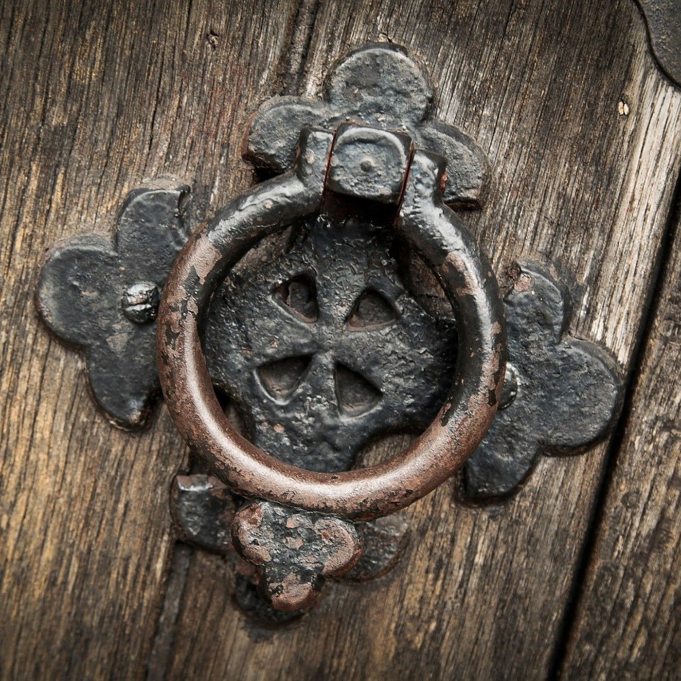 Portada de Canal Rosacruz