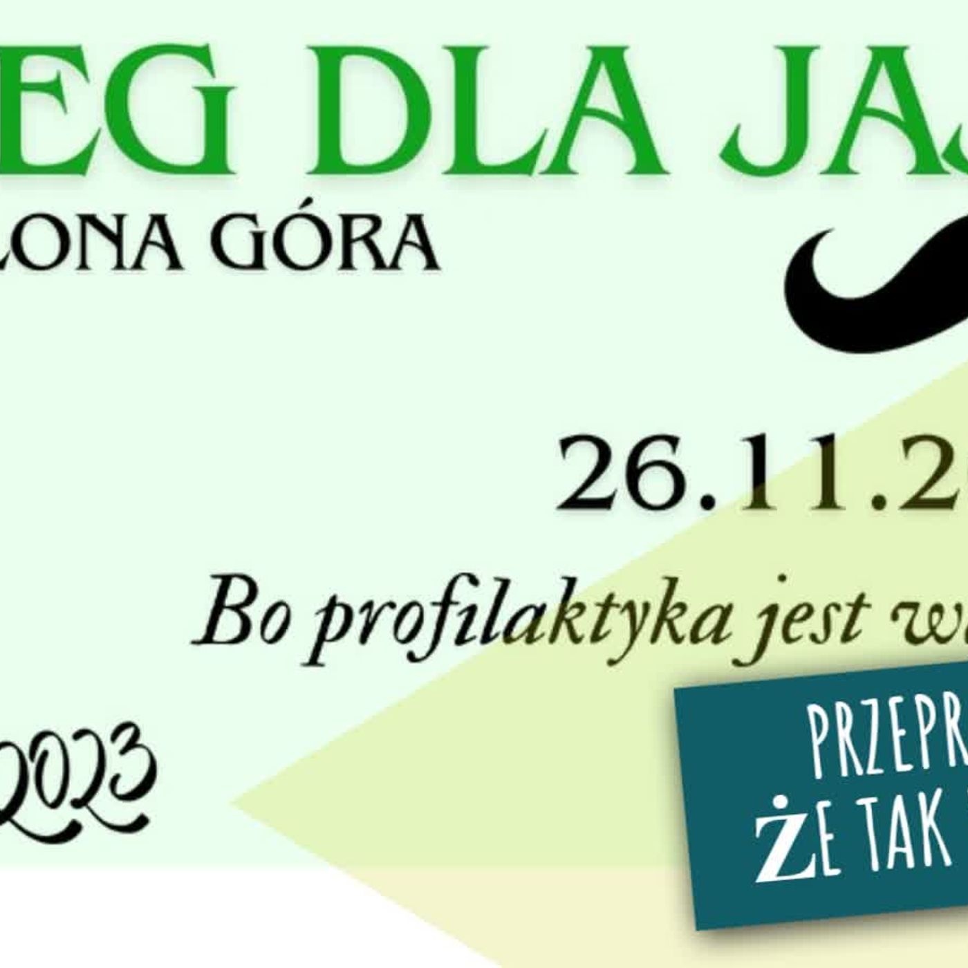 Lena Pilonis – fundacja „My Aktywni", współorganizatorka biegu “Bieg z Wąsem dla jaj” episode artwork