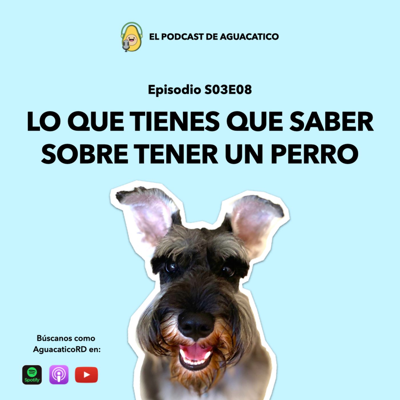 El Podcast de Aguacatico