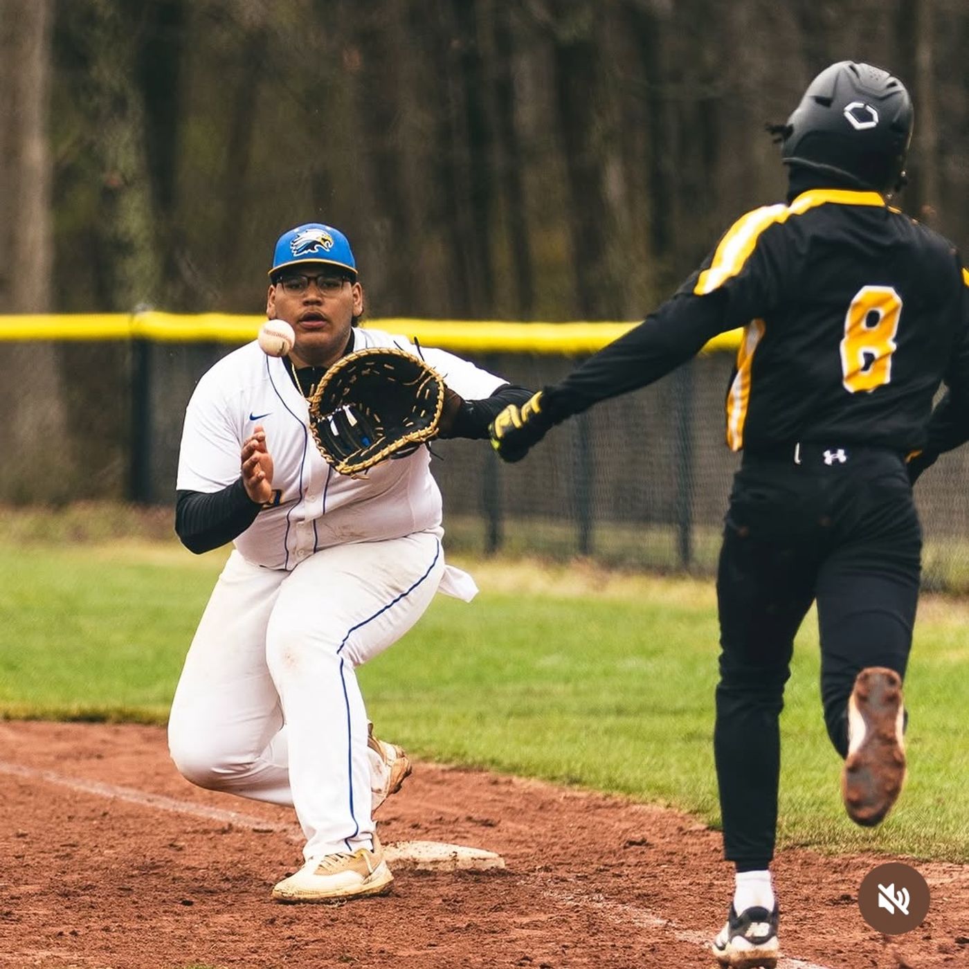 North Brunswick Raiders Baseball/Softball