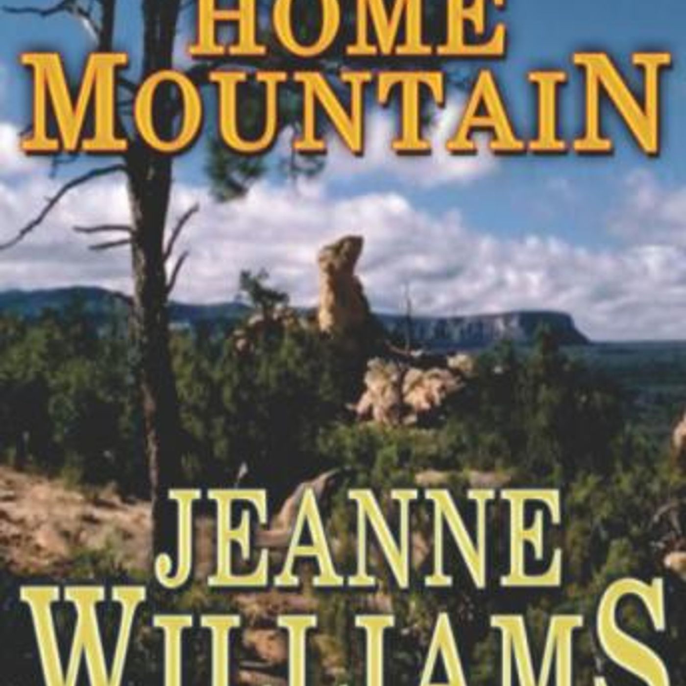 Access Must-Have Full Audiobooks in Fiction, Westerns & War