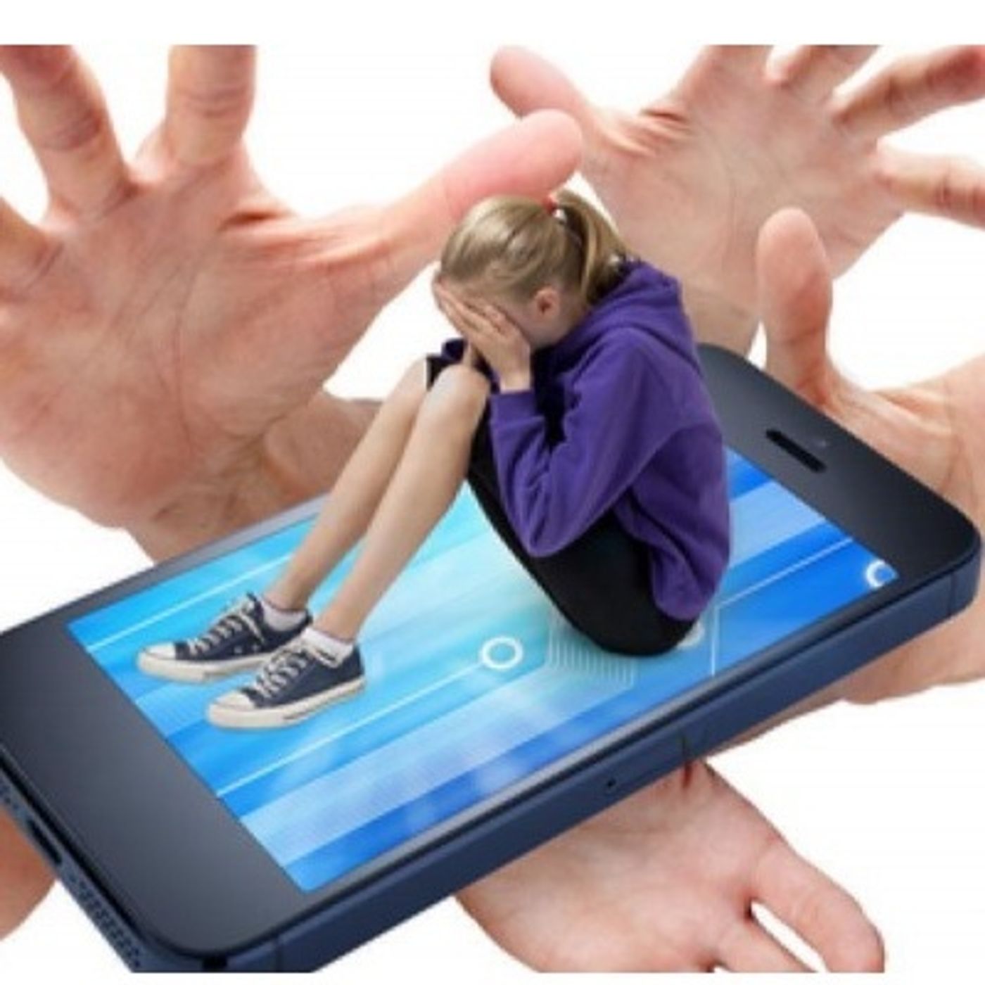 Descriptors dels aprenentatges del portf