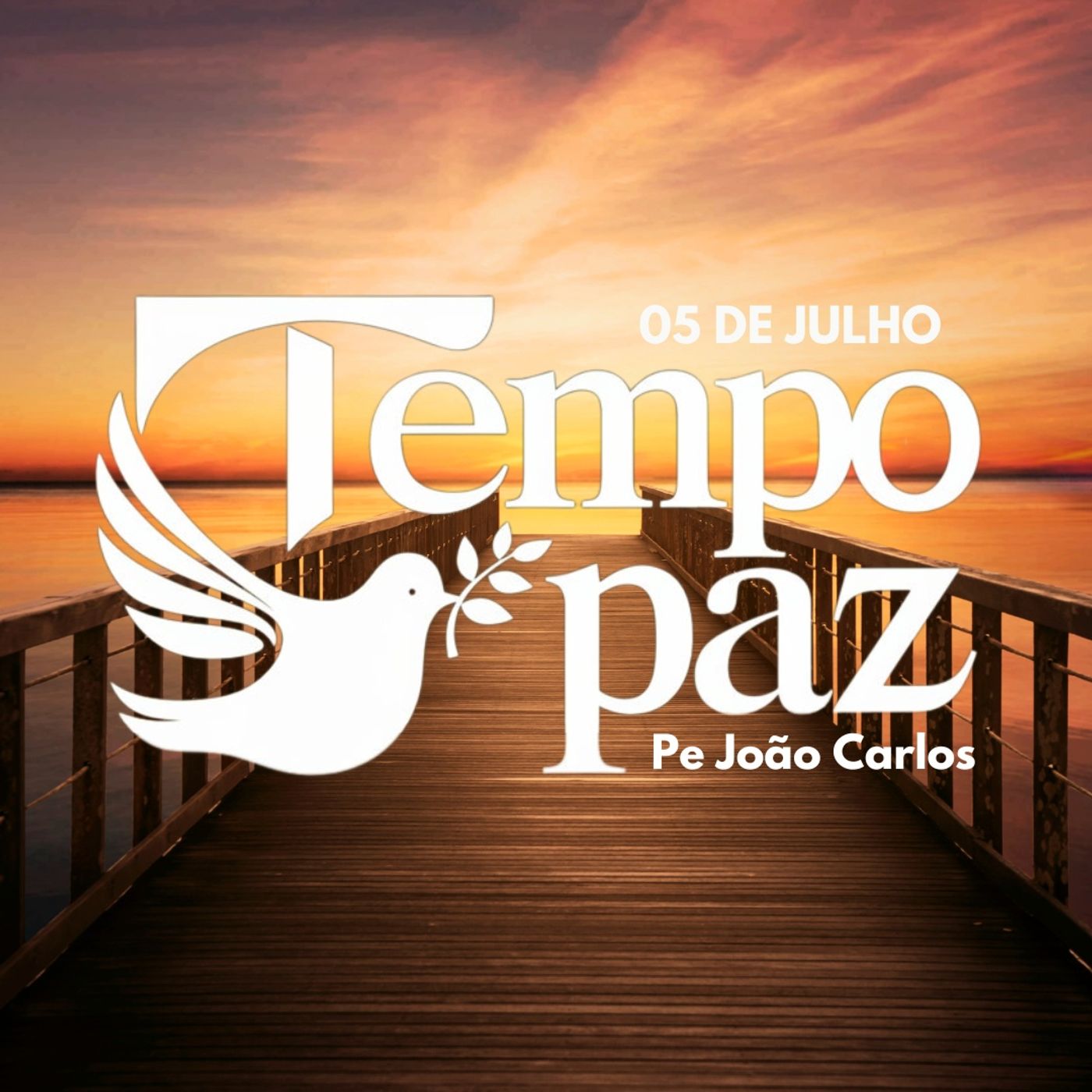 Pe. João Carlos - Meditação da Palavra