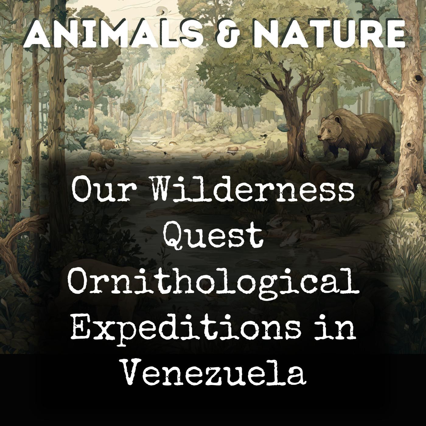 Our Wilderness Quest Ornithological Expeditions in Venezuela