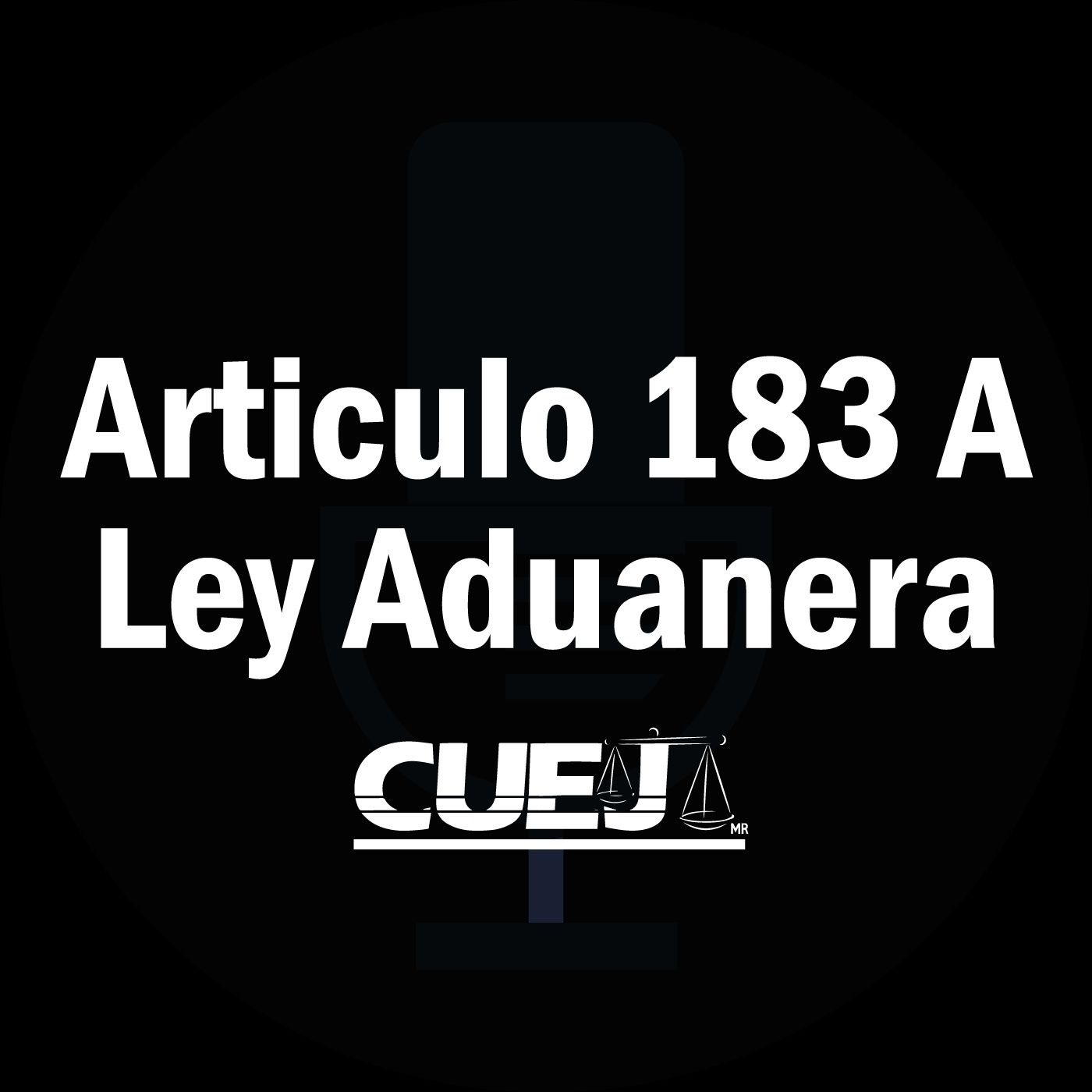 Audio Ley Aduanera