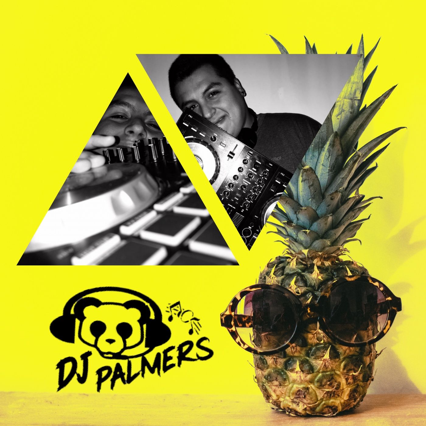 Dj Palmers Podcasts
