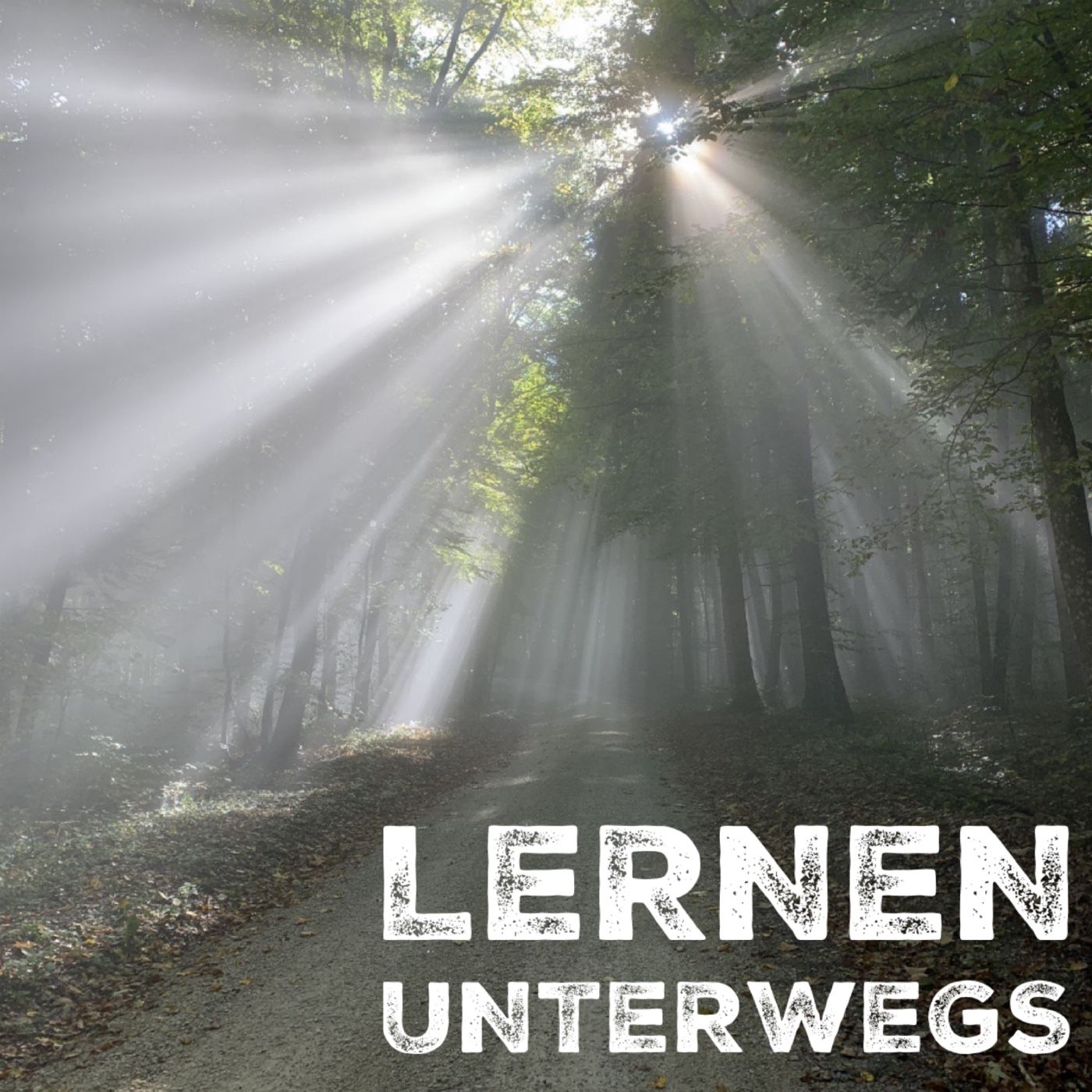 Lernen unterwegs podcast artwork