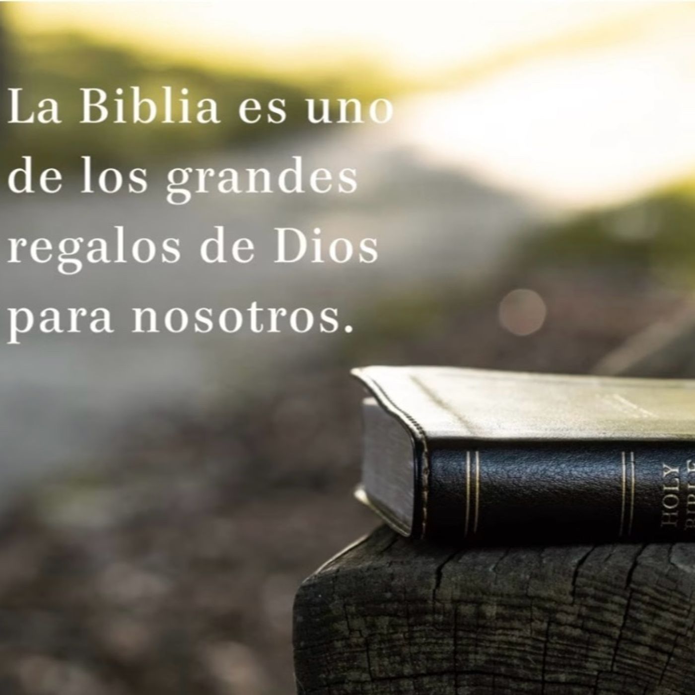 Su delicia
