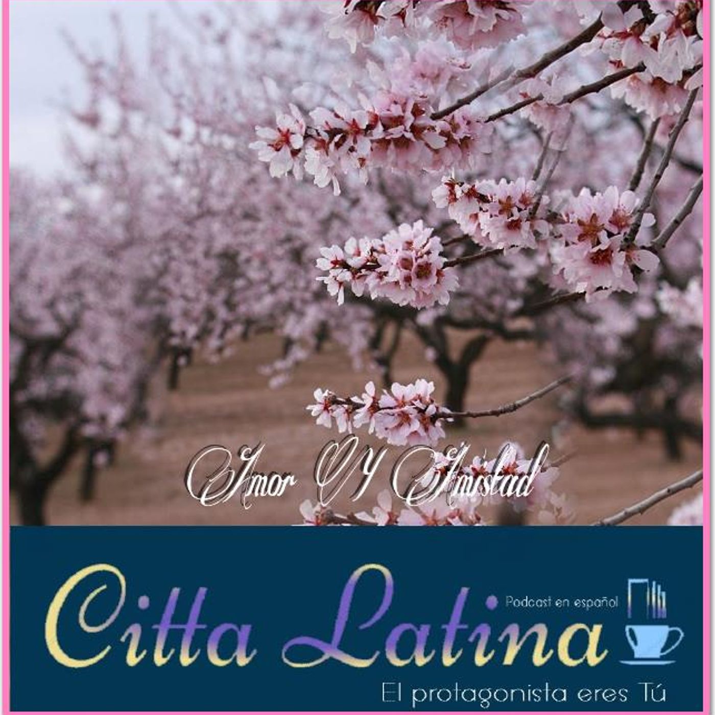 Citta Latina
