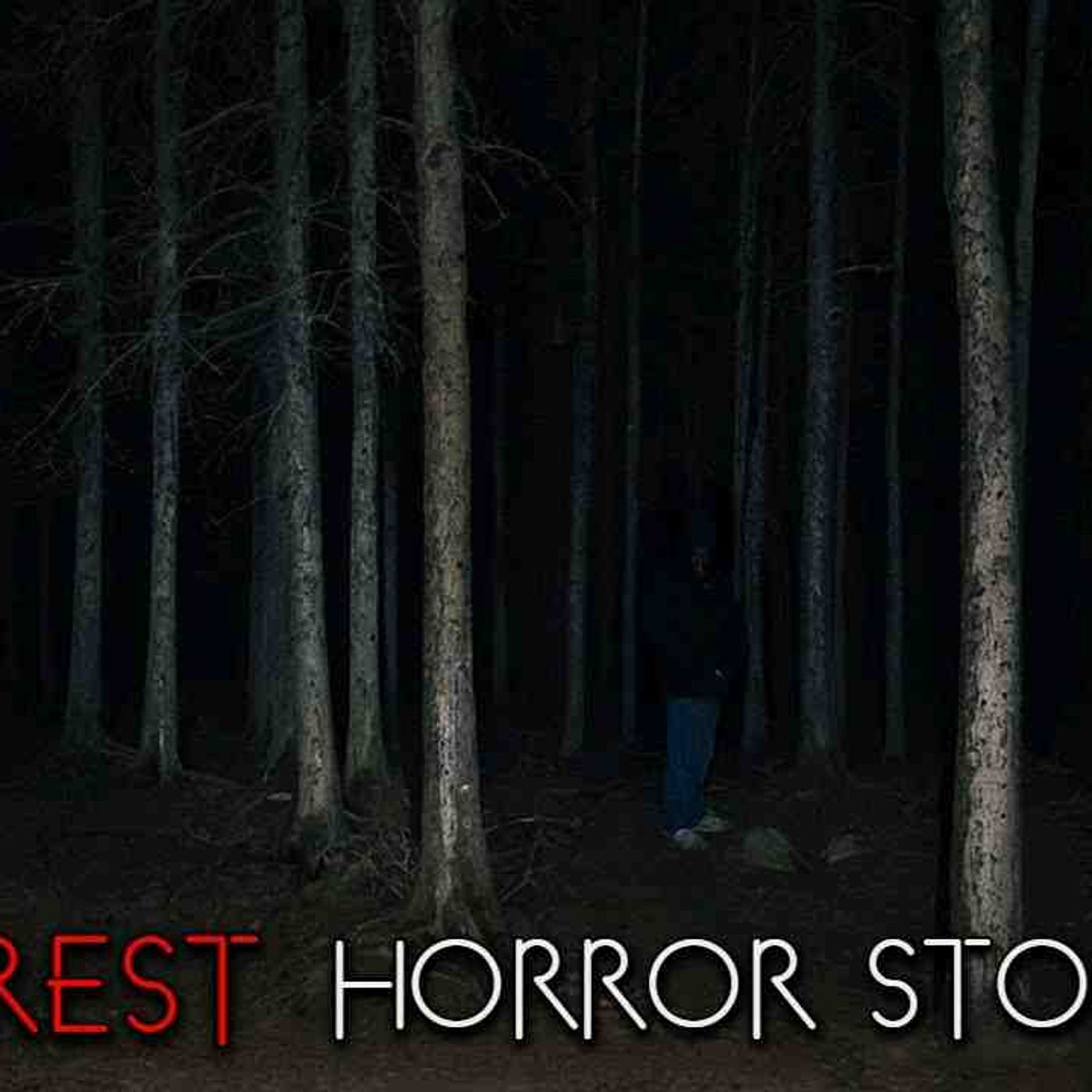 3 Creepy True Wilderness Horror Stories(MP3_160K) episode artwork