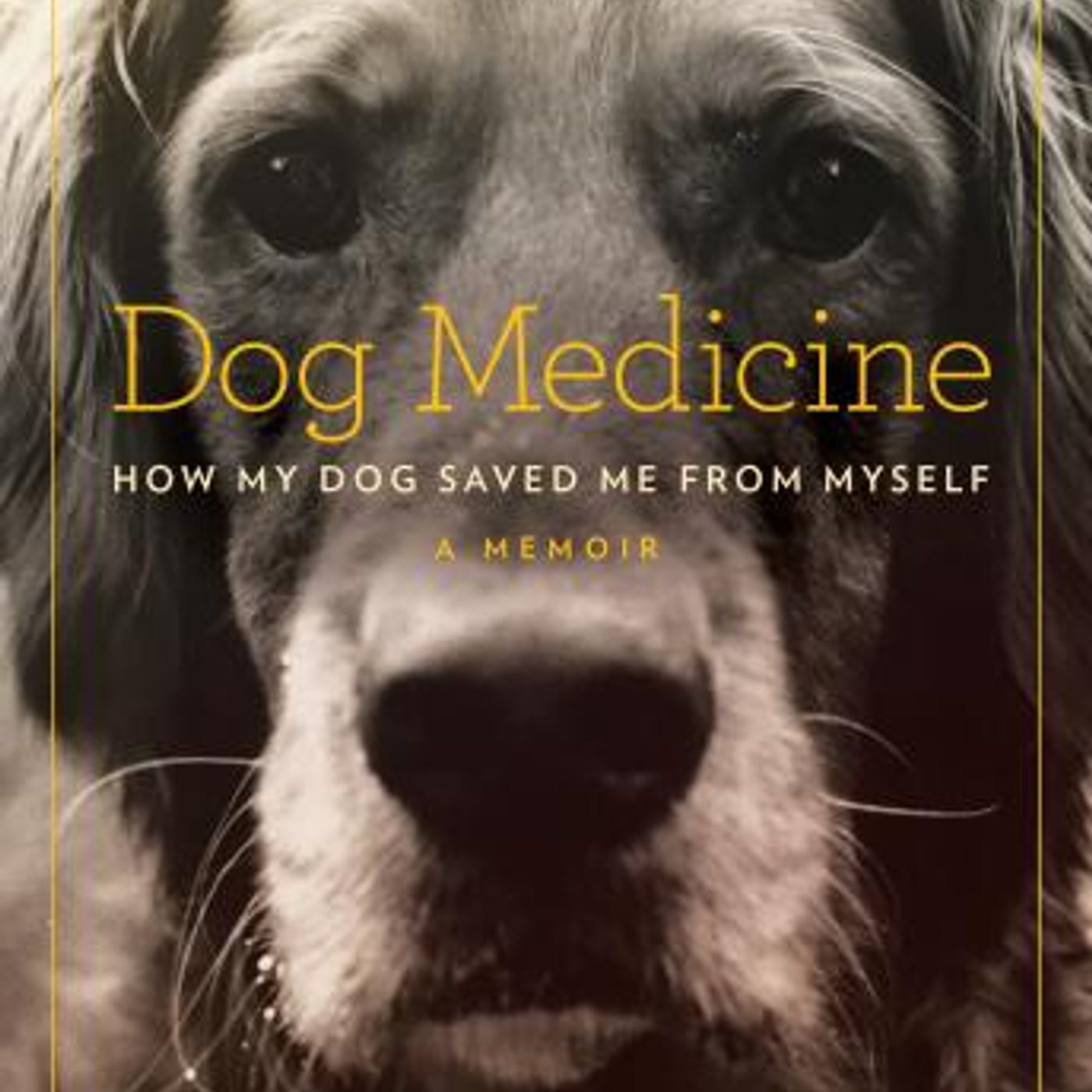 Audiobooks in Biography & Memoir