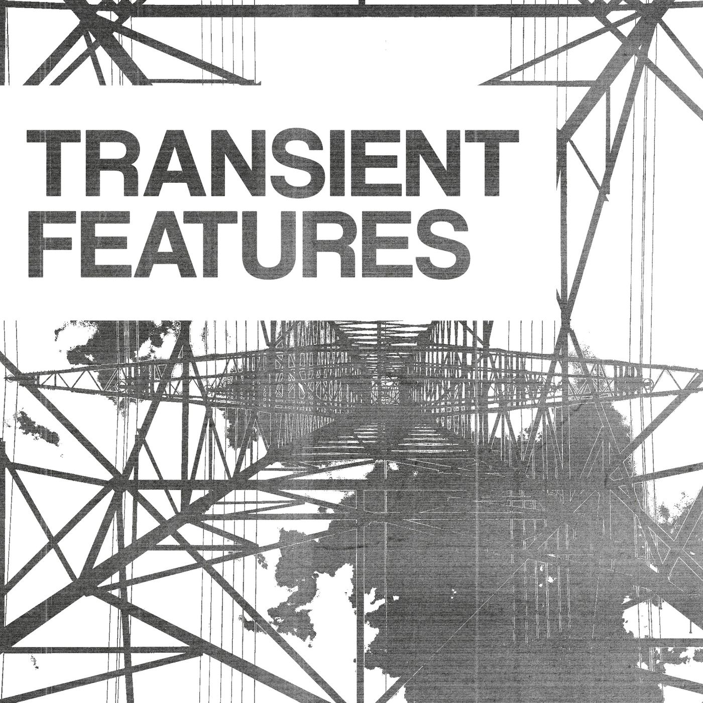 Transient Features