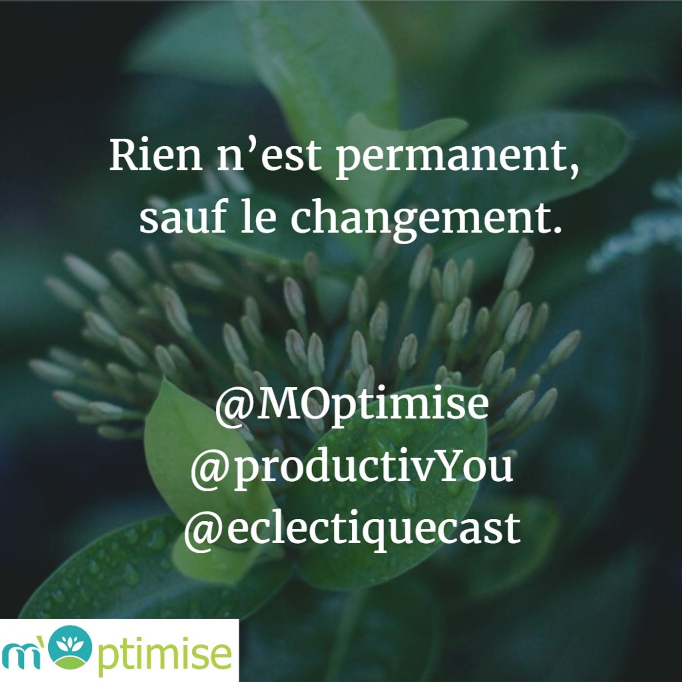 Moptimise 09 : Le changement