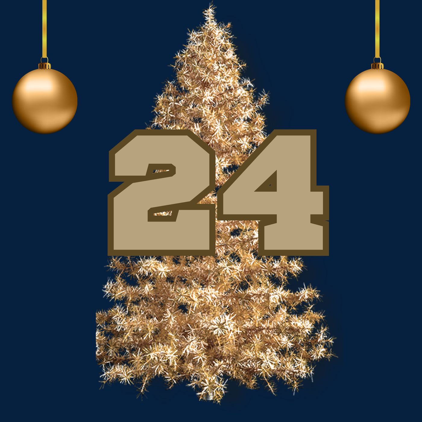 💛Wrestling Julekalender låge nr. 24💛 The Diva of DPW Nova North episode artwork