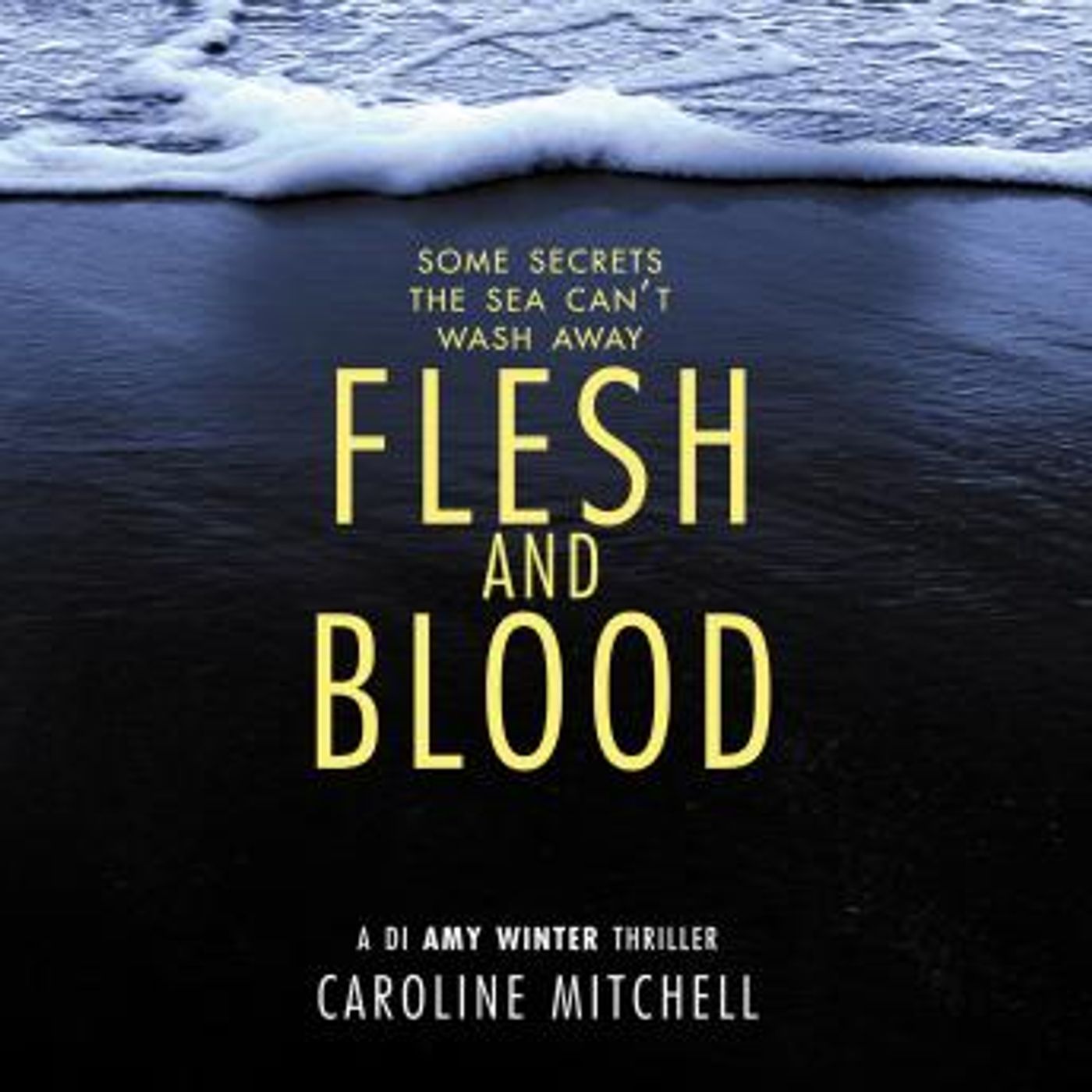 Get Best Full Audiobooks in Mystery, Thriller & Horror, Police & Detective